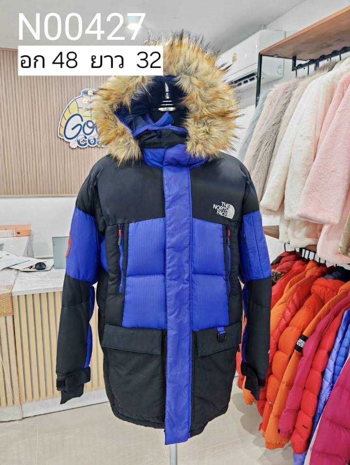 N00427 The North face