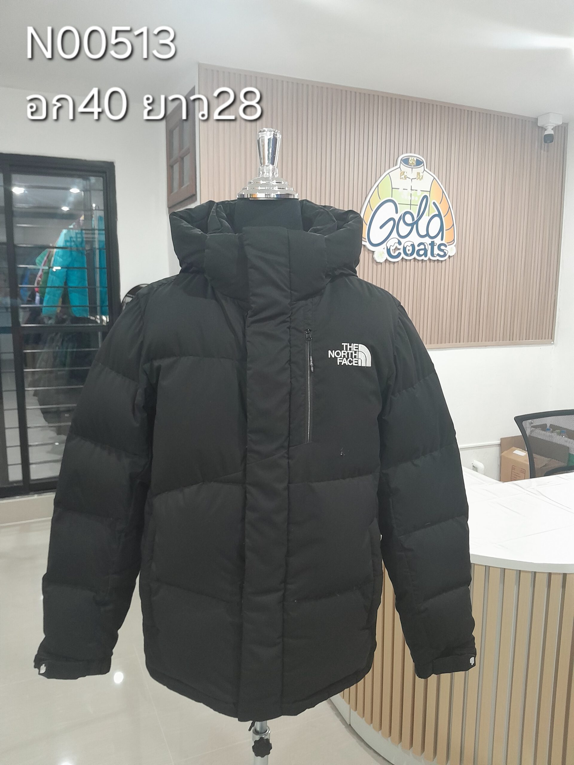 N00513 The North face