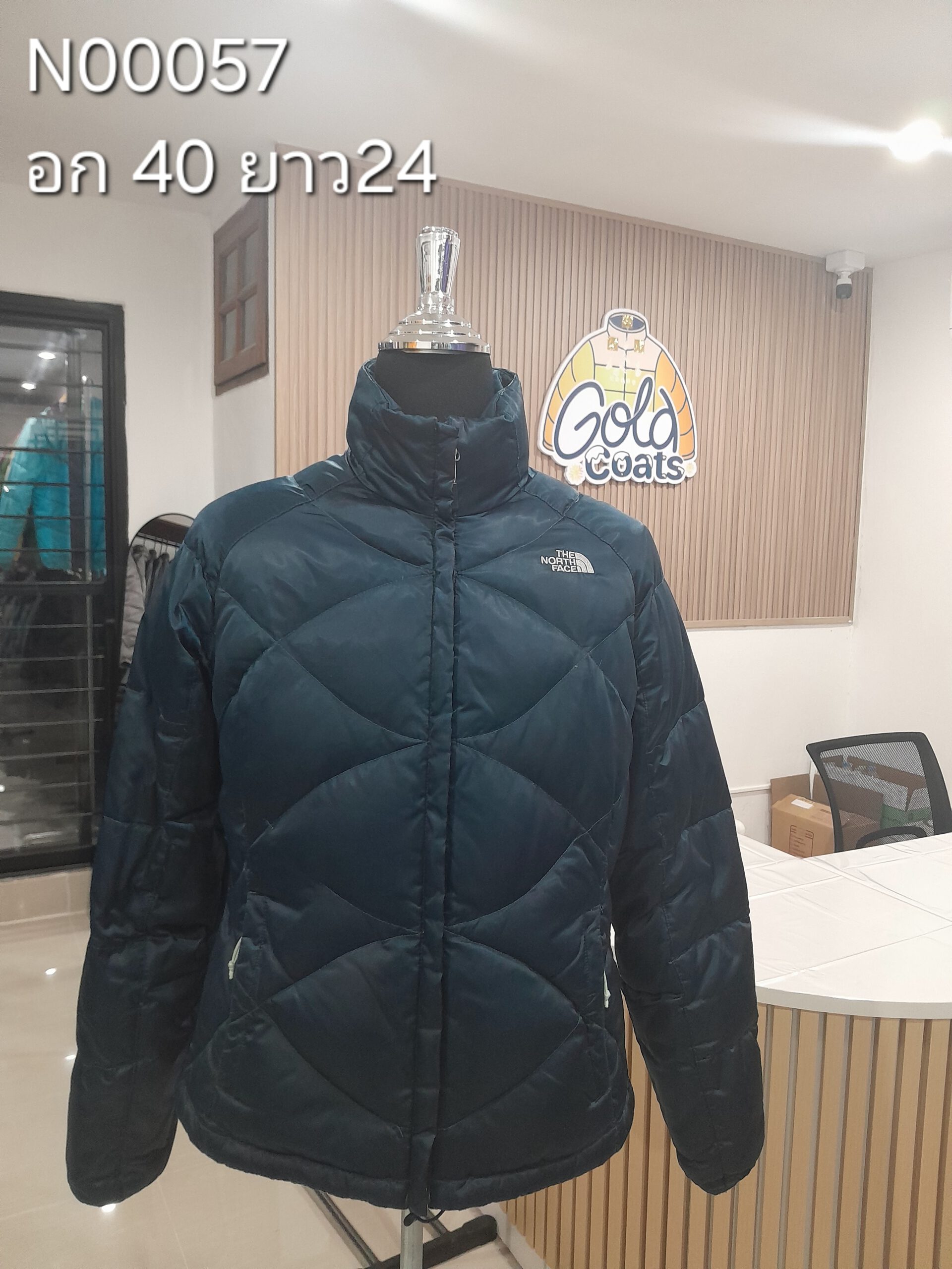 N00057 The North face