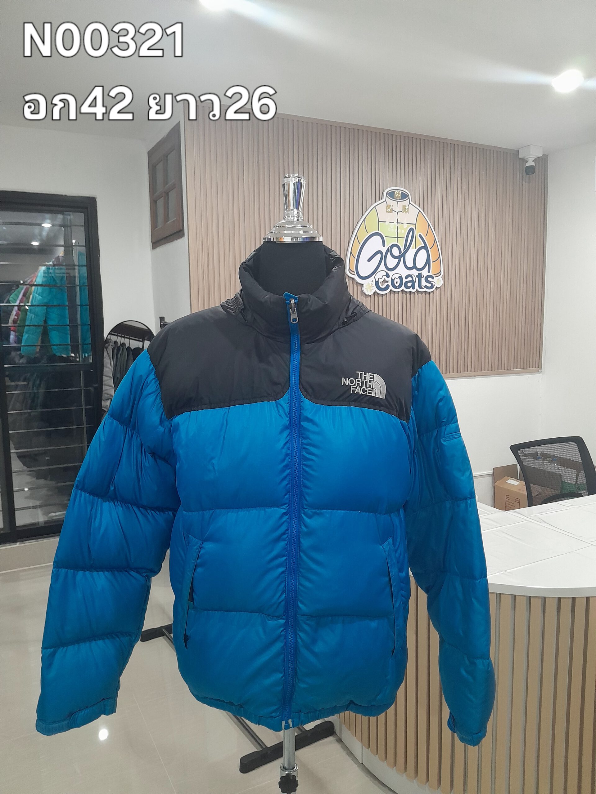 N00321 The North face
