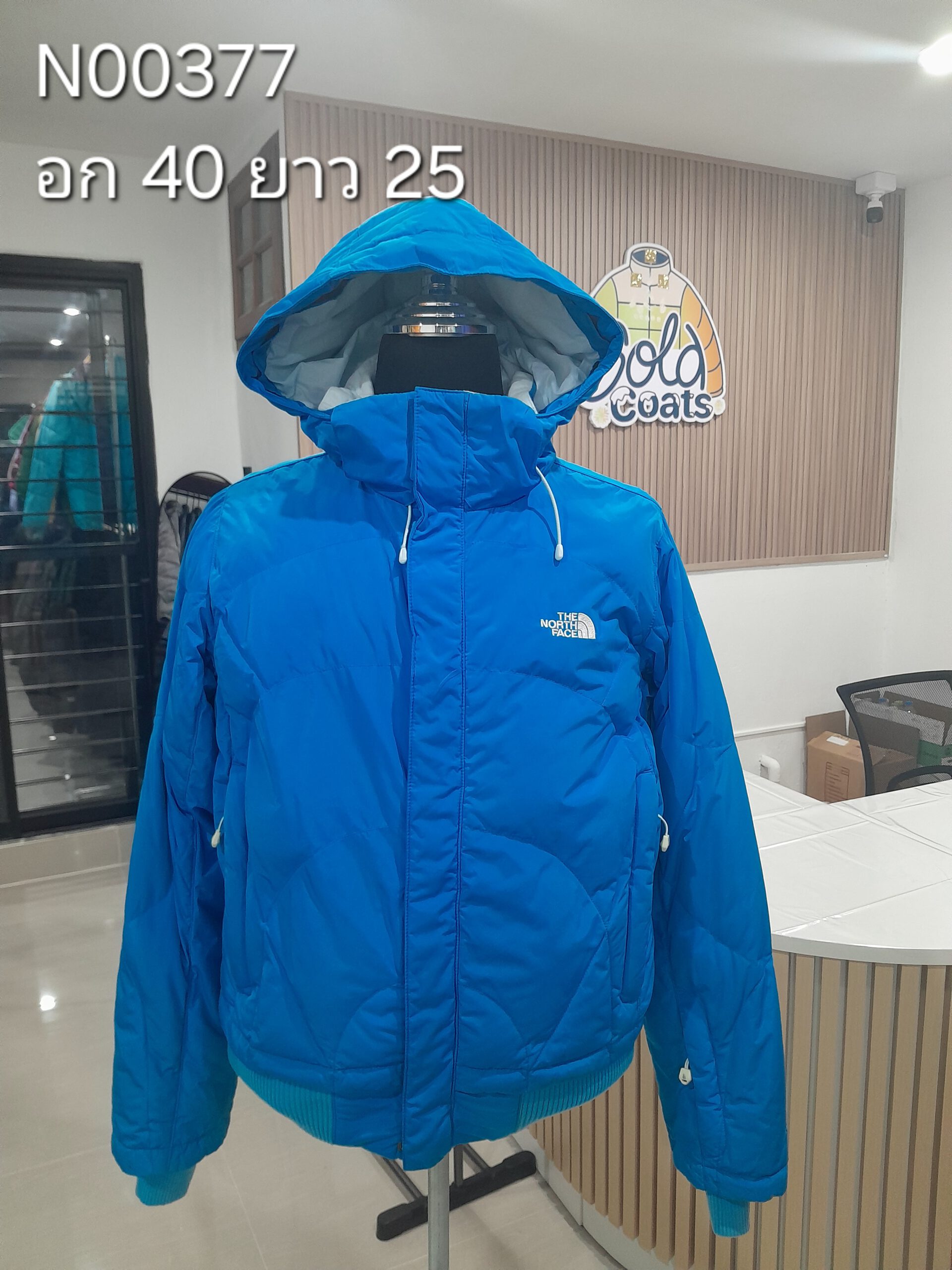 N00377 The North face