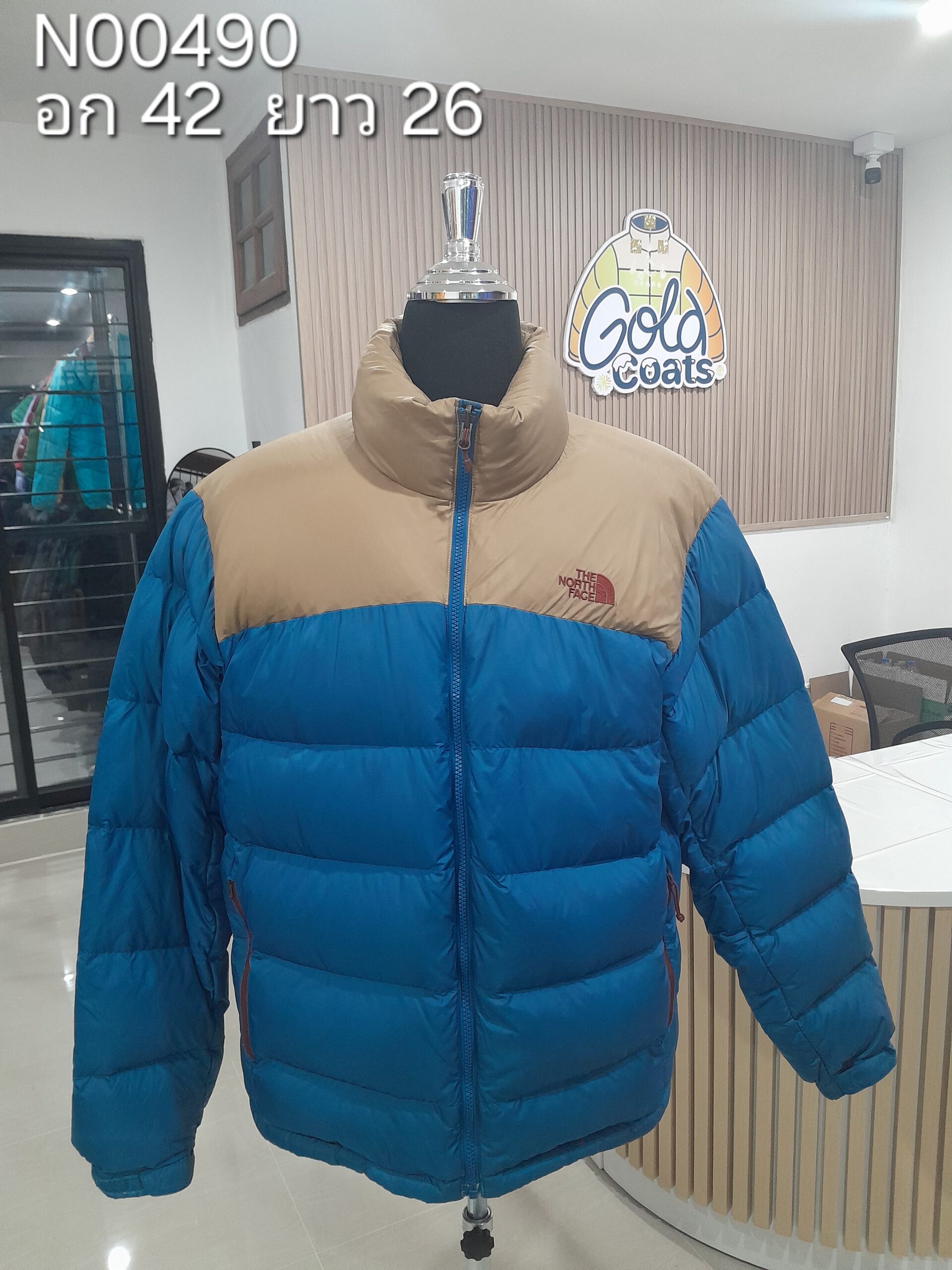 N00490 The North face