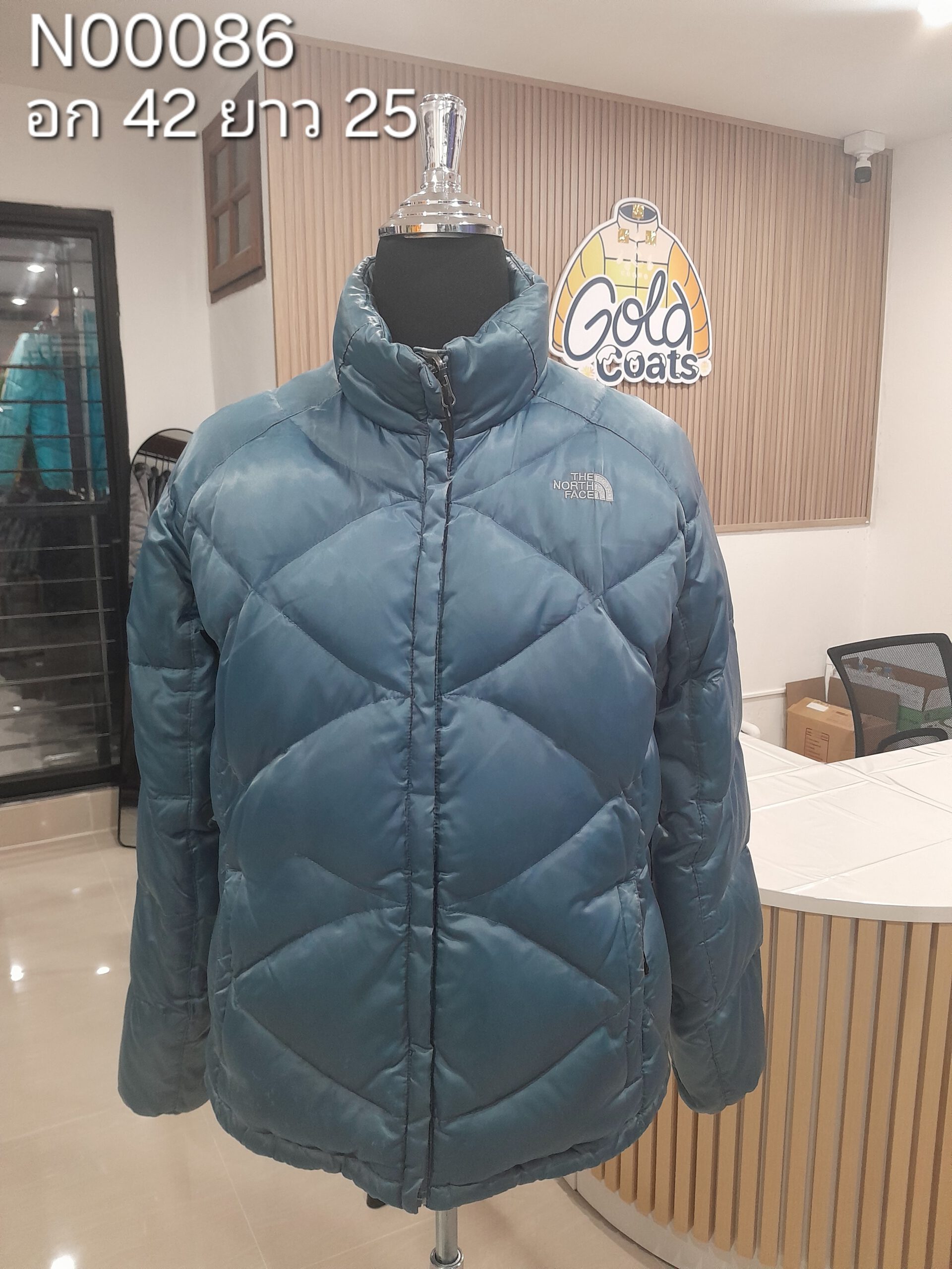 N00086 The North face