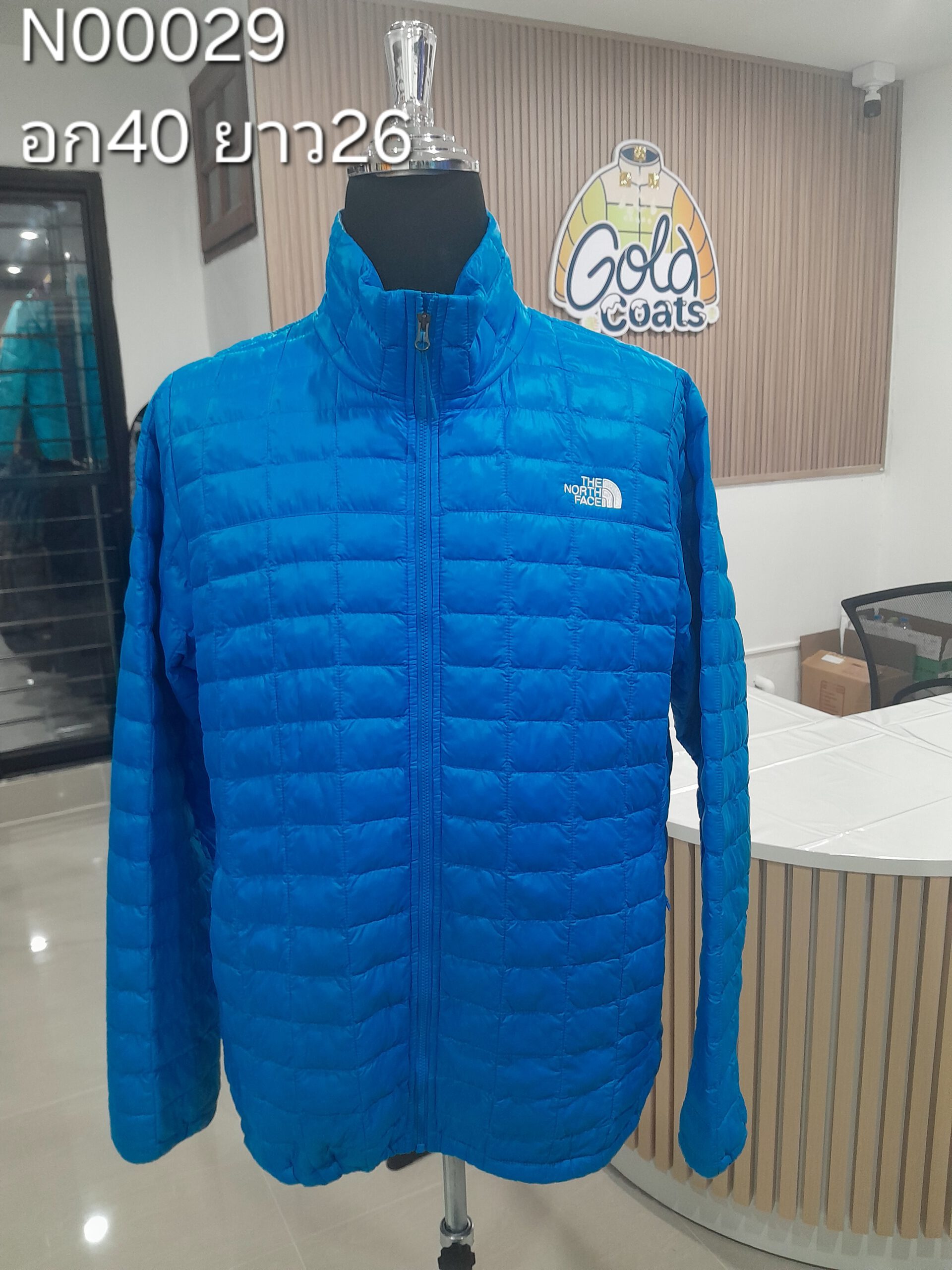 N00029 The North face