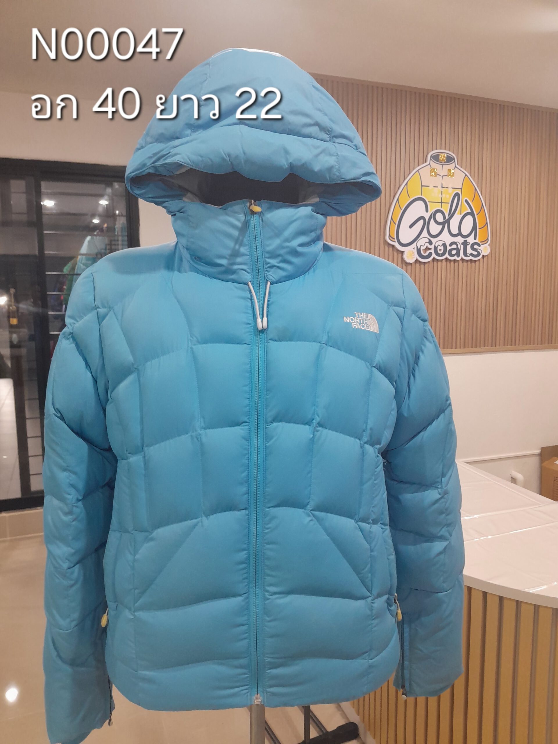 N00047 The North face