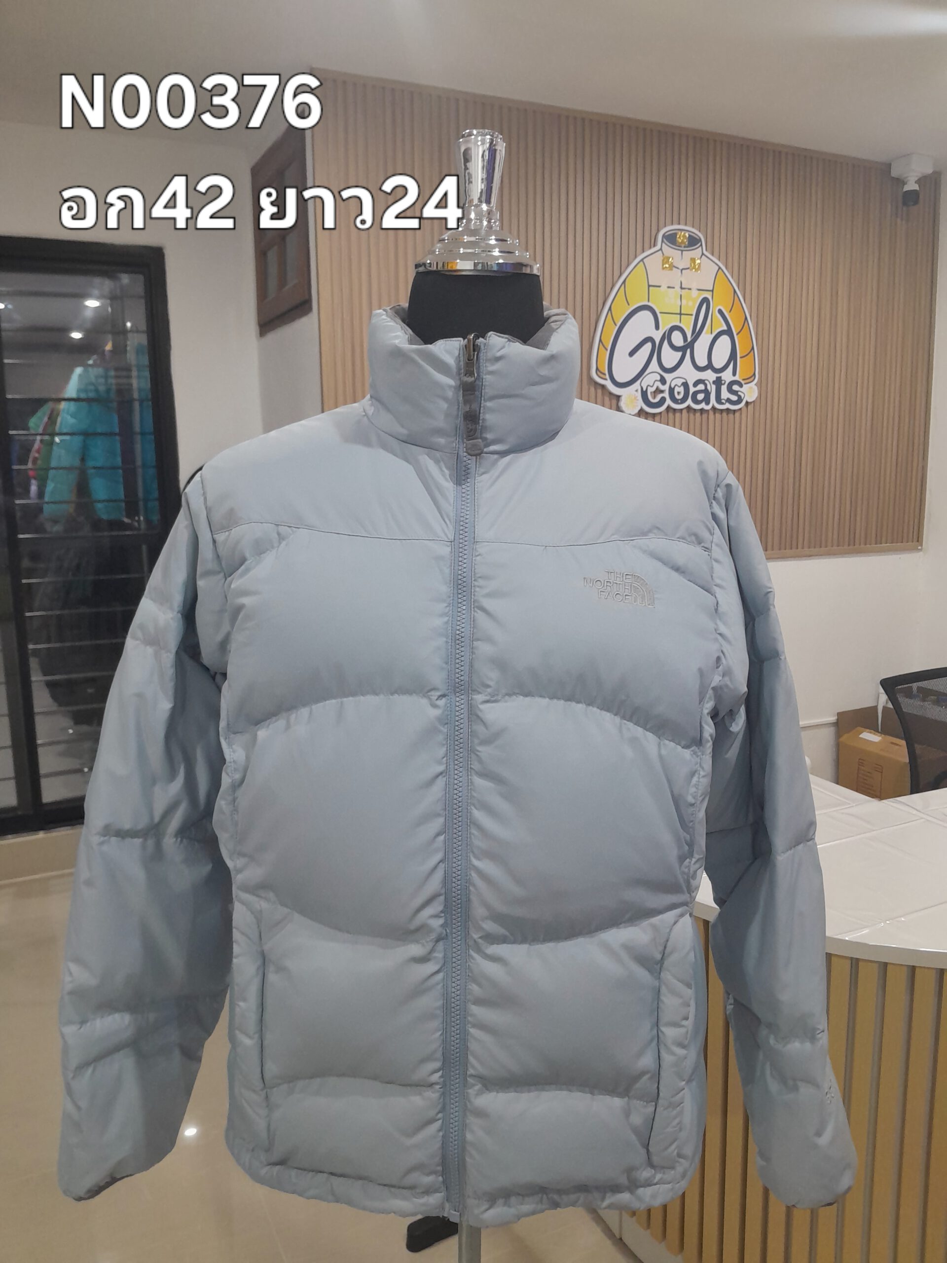 N00376 The North face