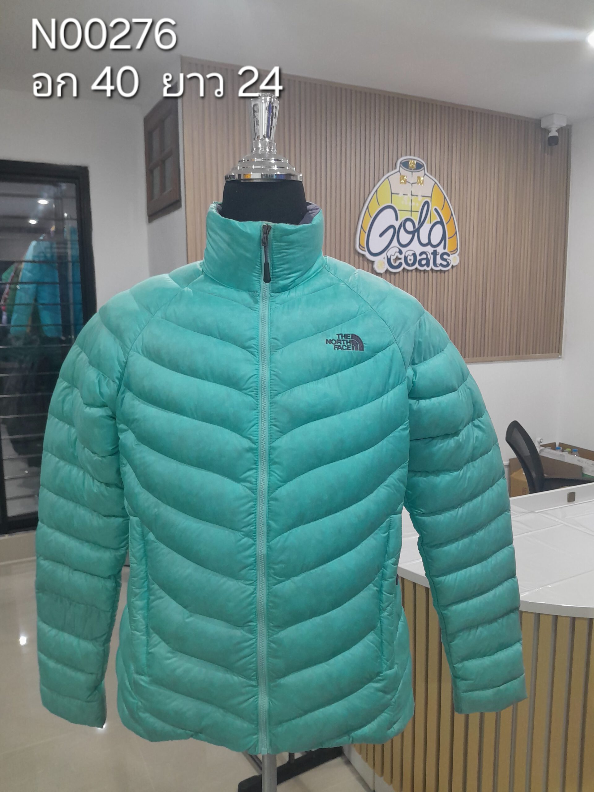 N00276 The North face