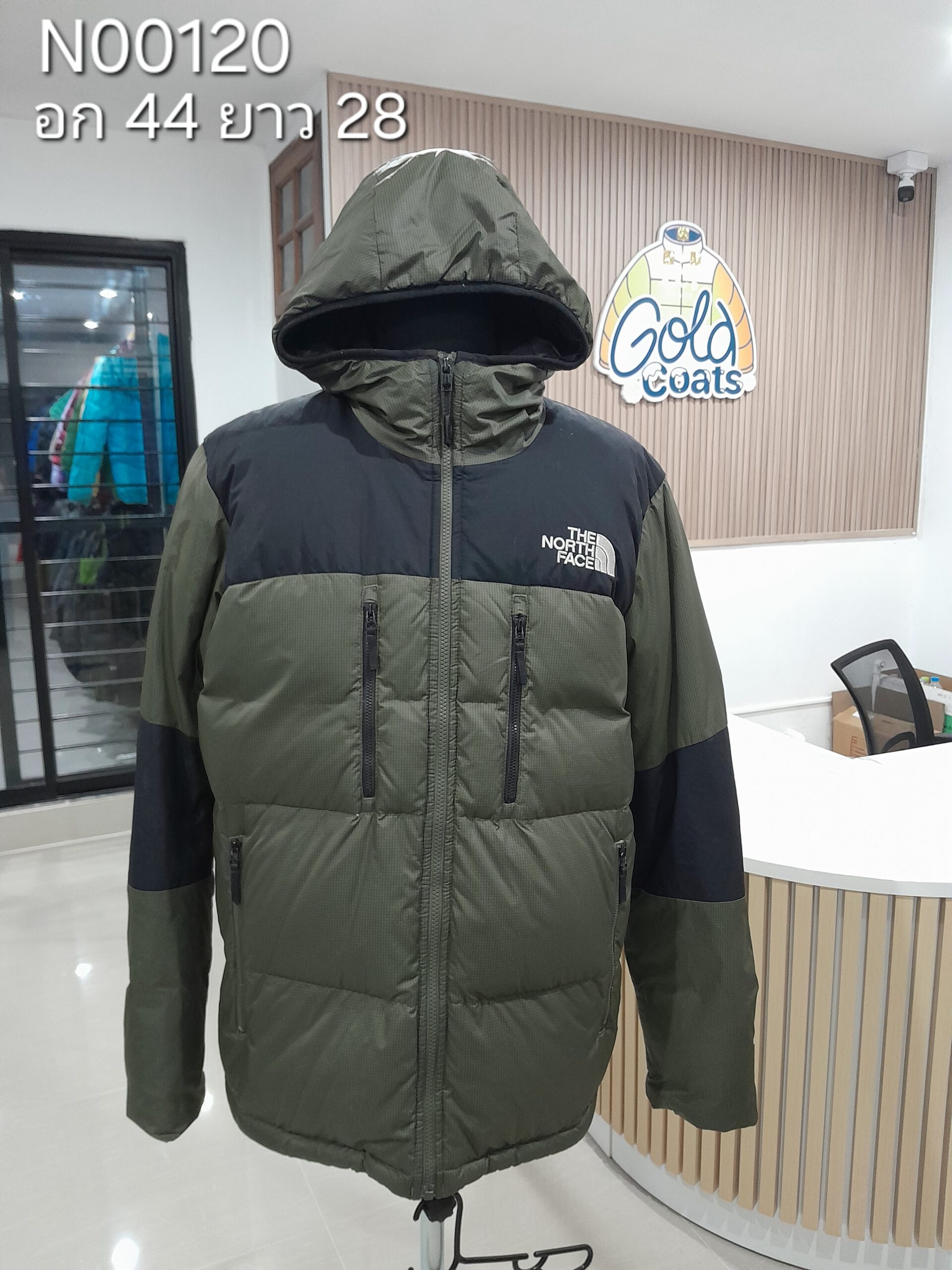 N00120 The North face