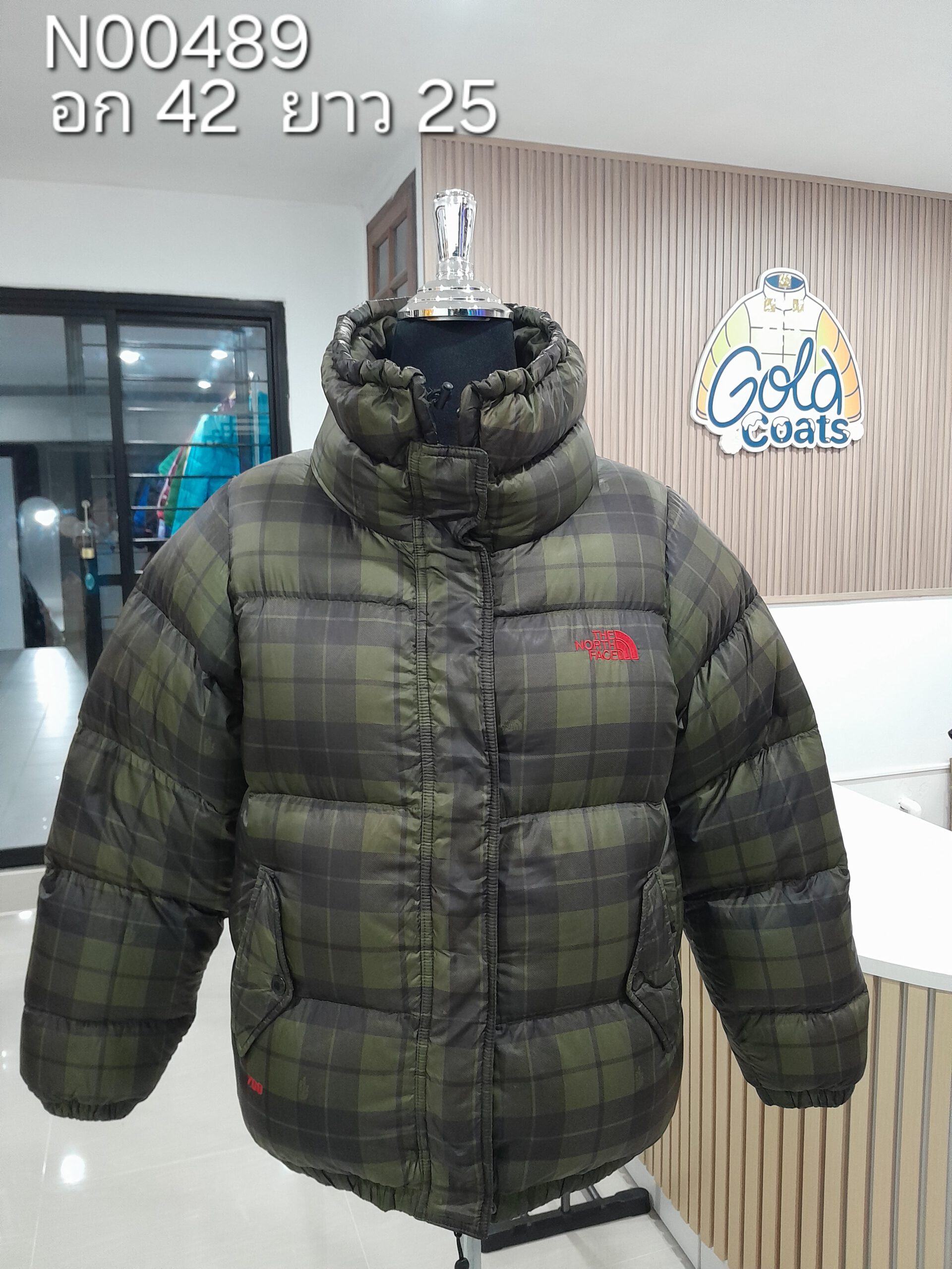 N00489 The North face