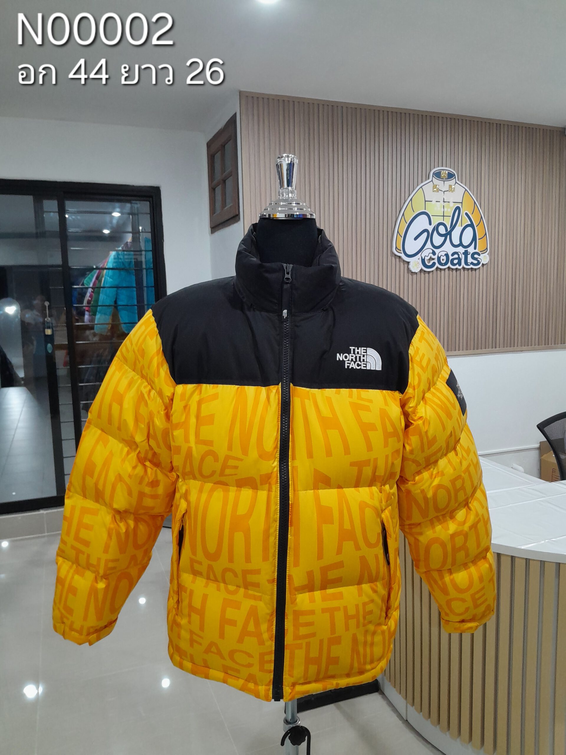 N00002 The North face