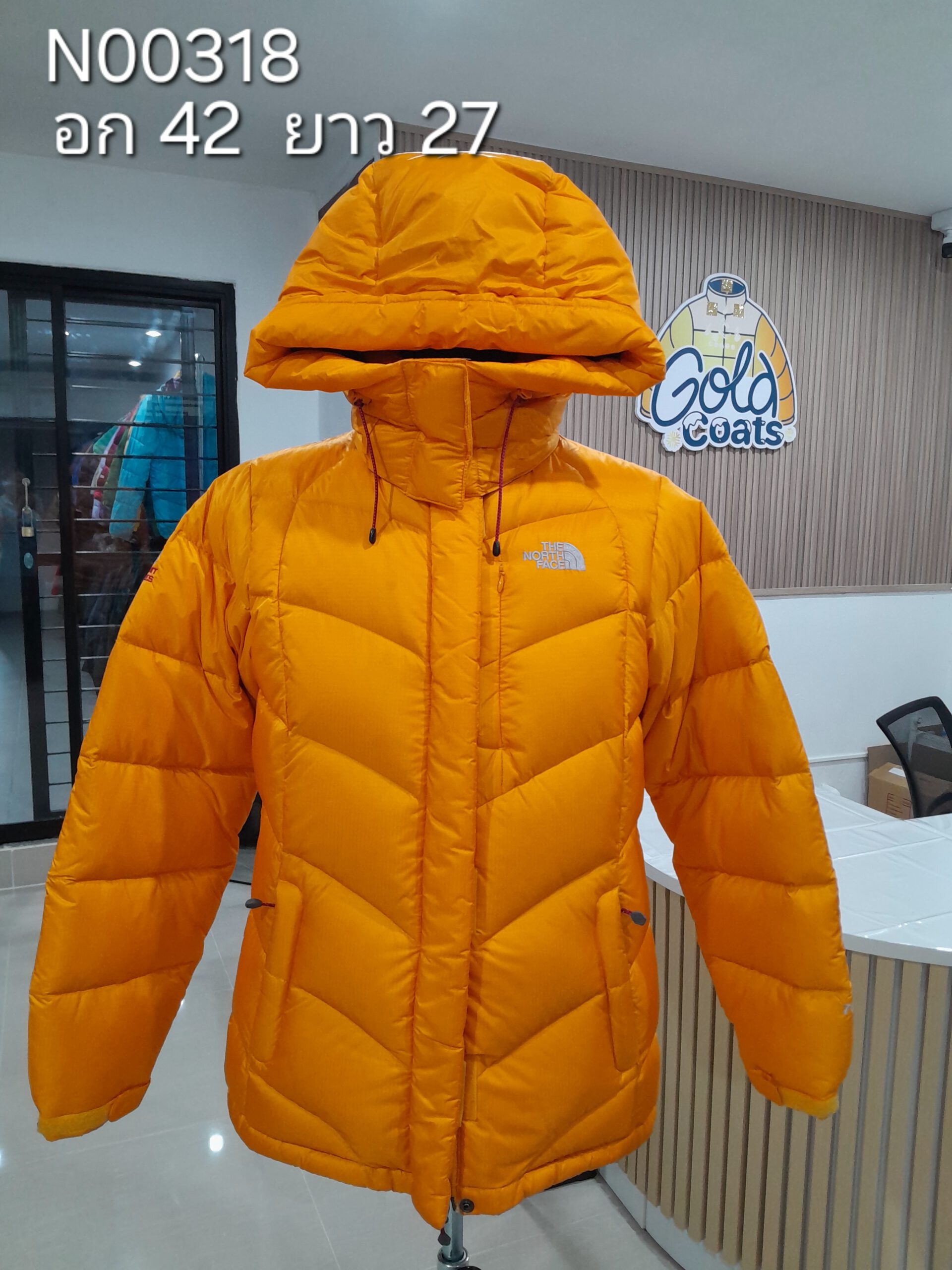 N00318 The North face