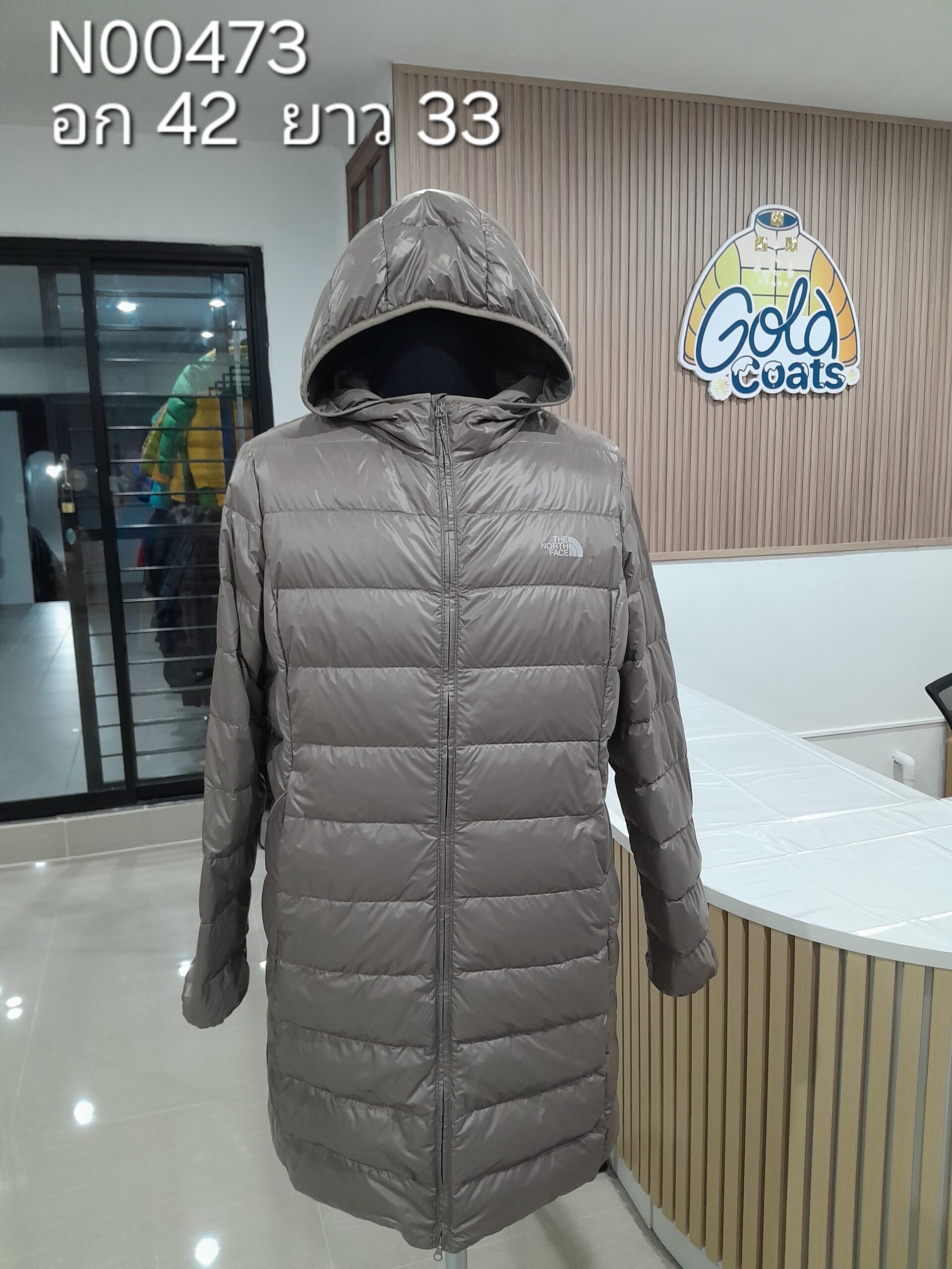 N00473 The North face