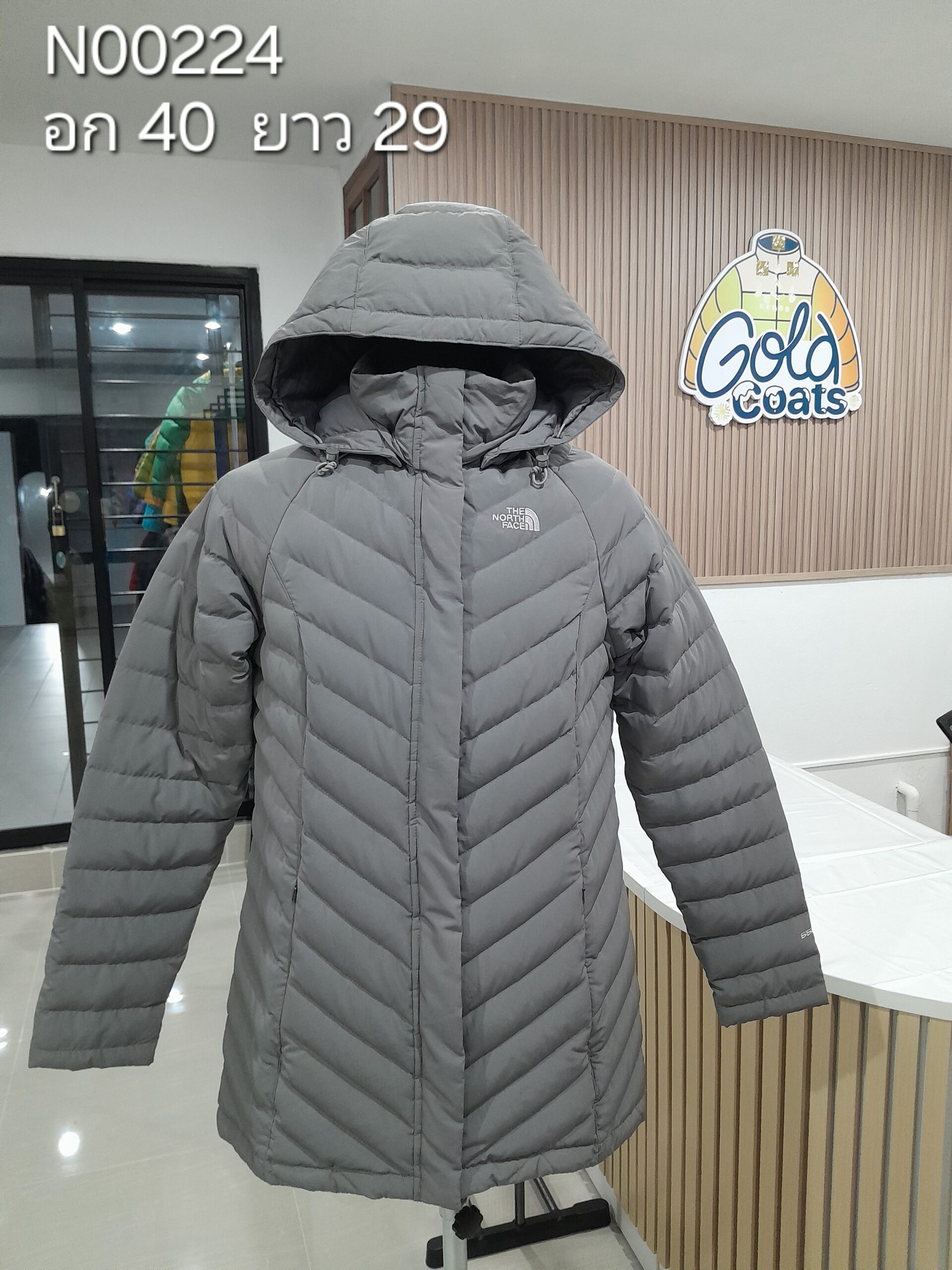 N00224 The North face