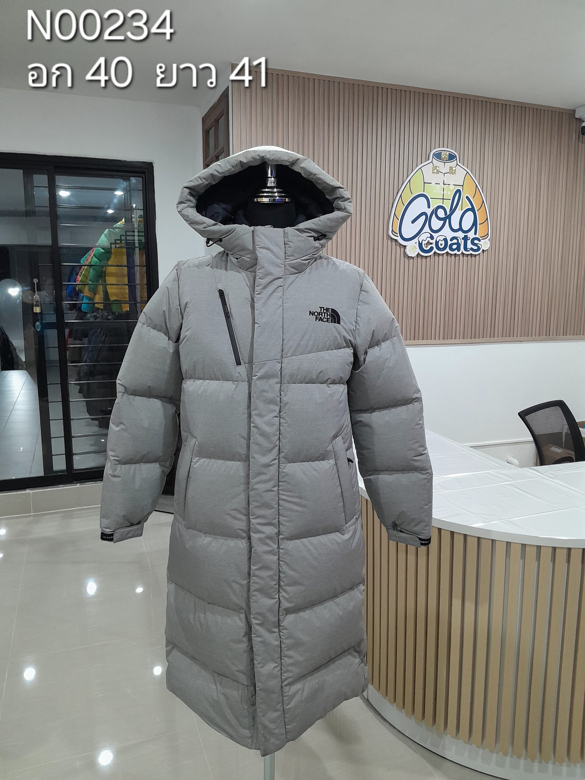 N00234 The North face