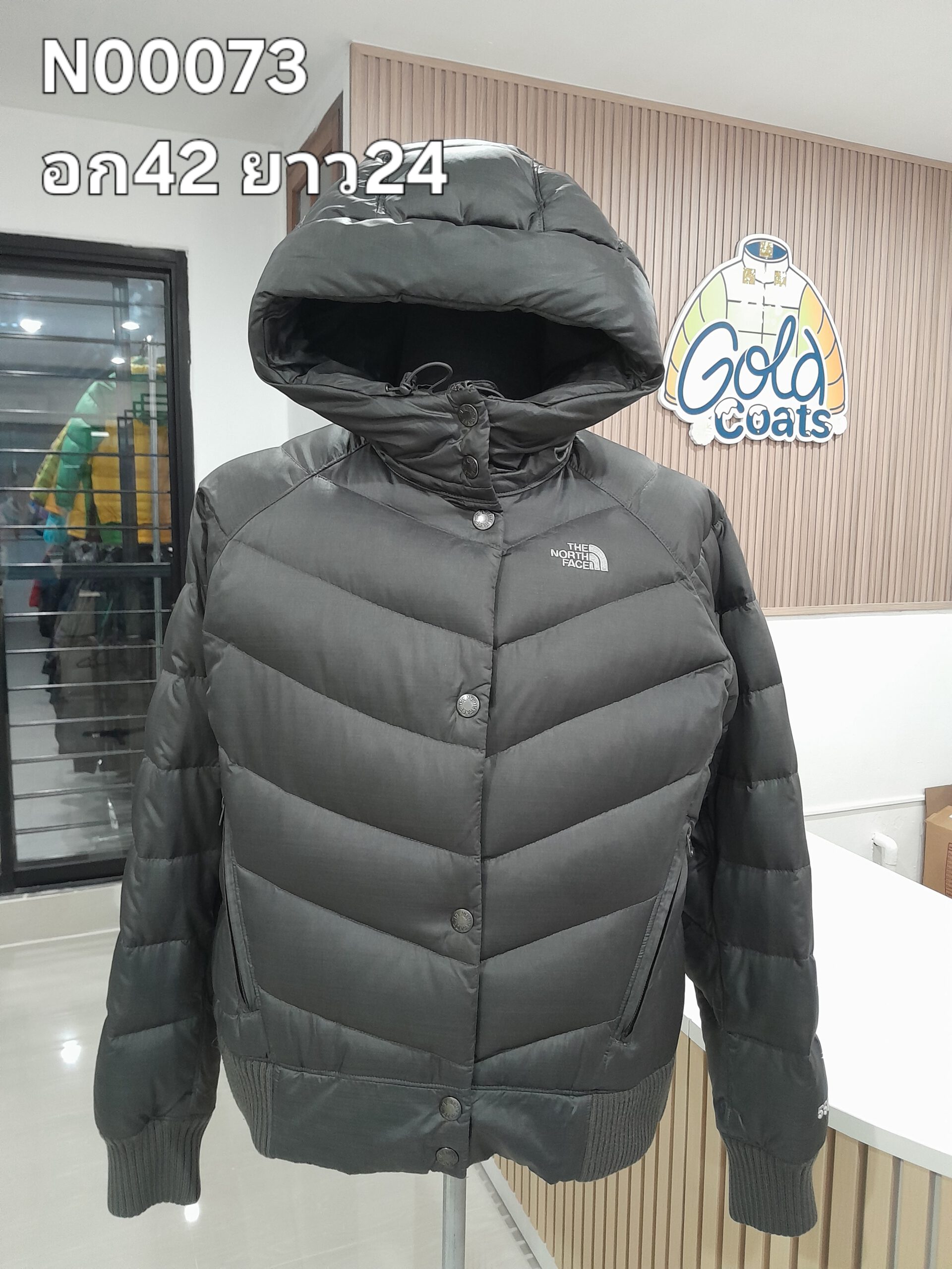 N00073 The North face