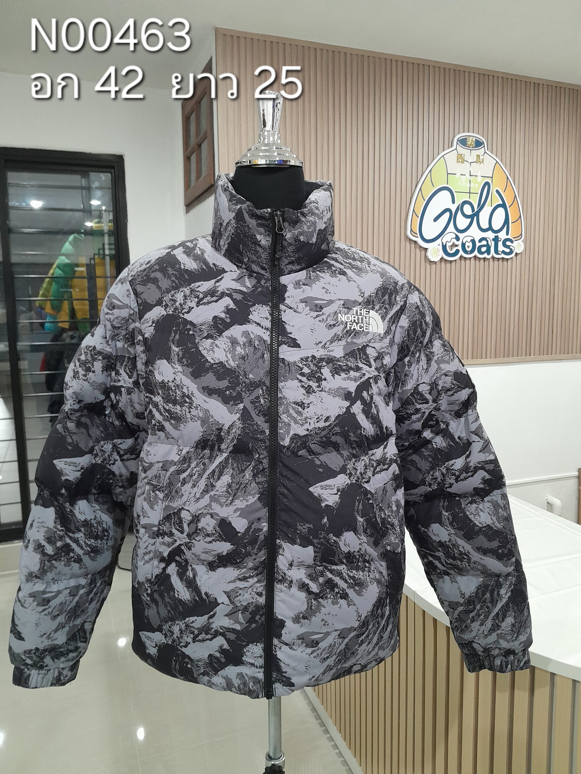 N00463 The North face