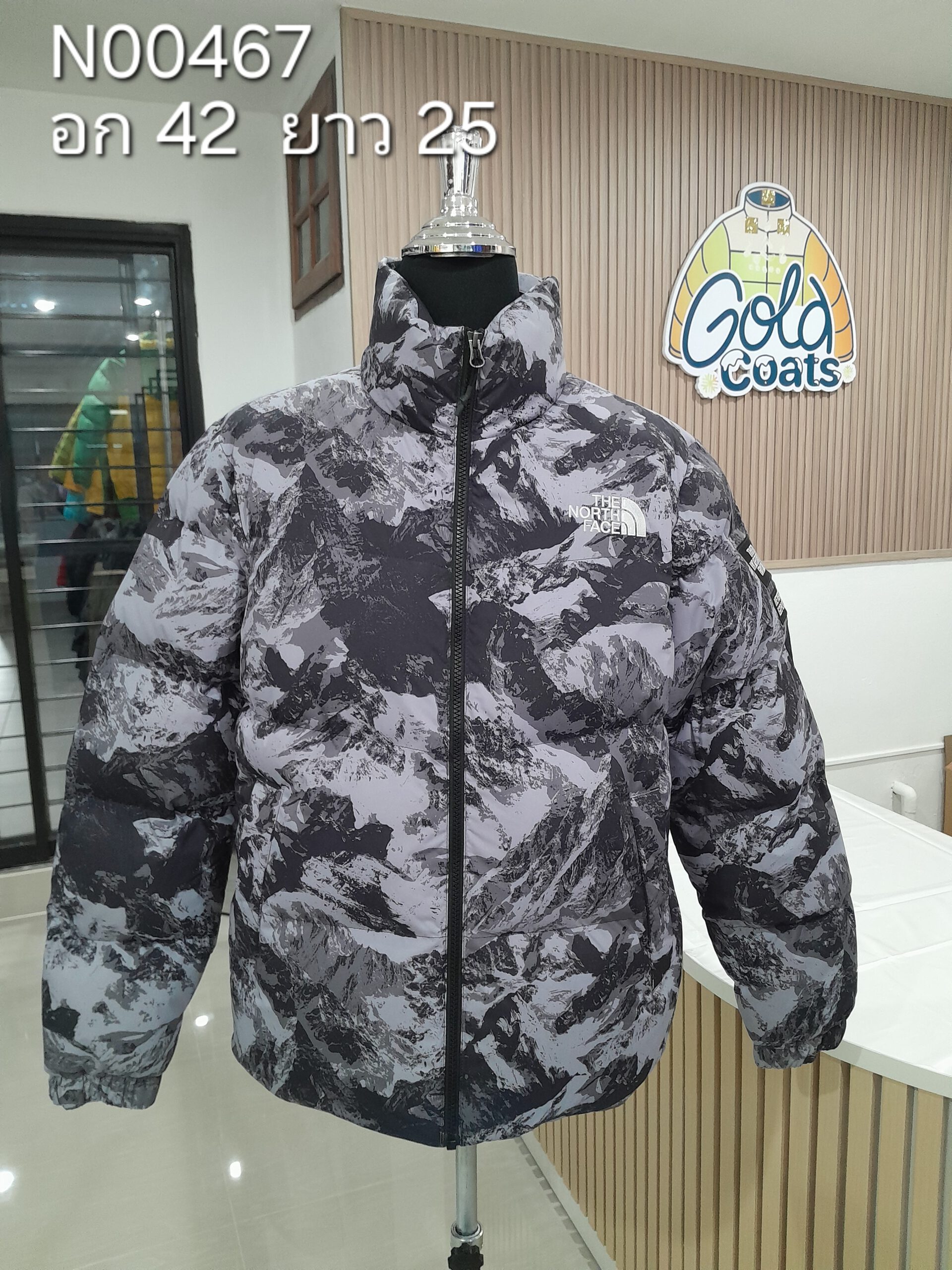 N00467 The North face