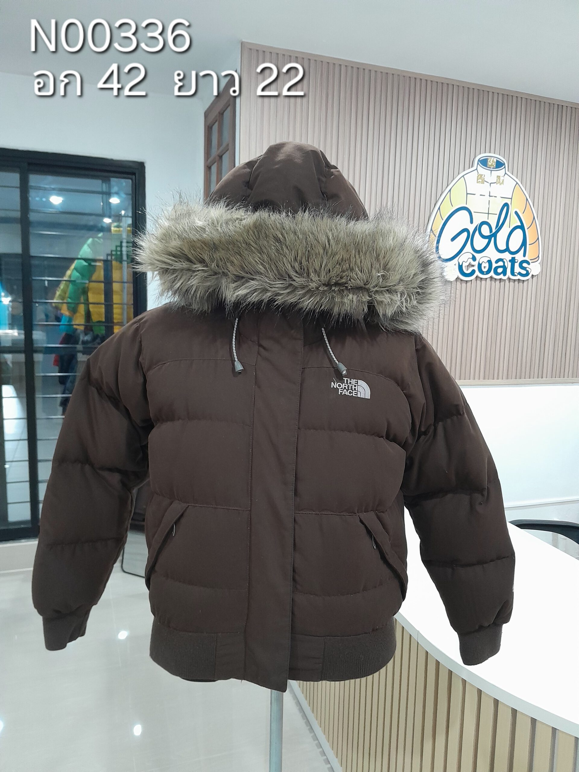 N00336 The North face