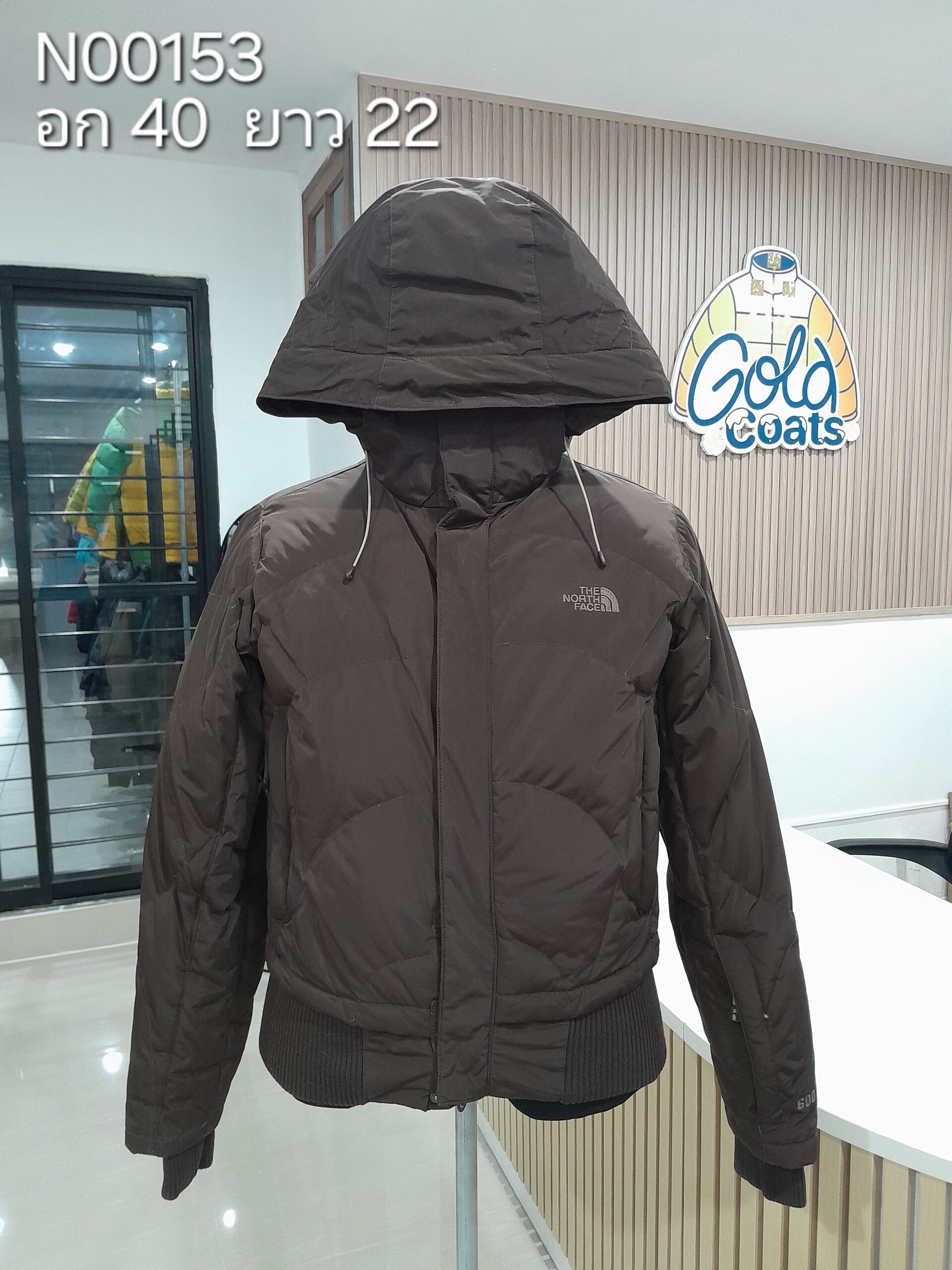 N00153 The North face