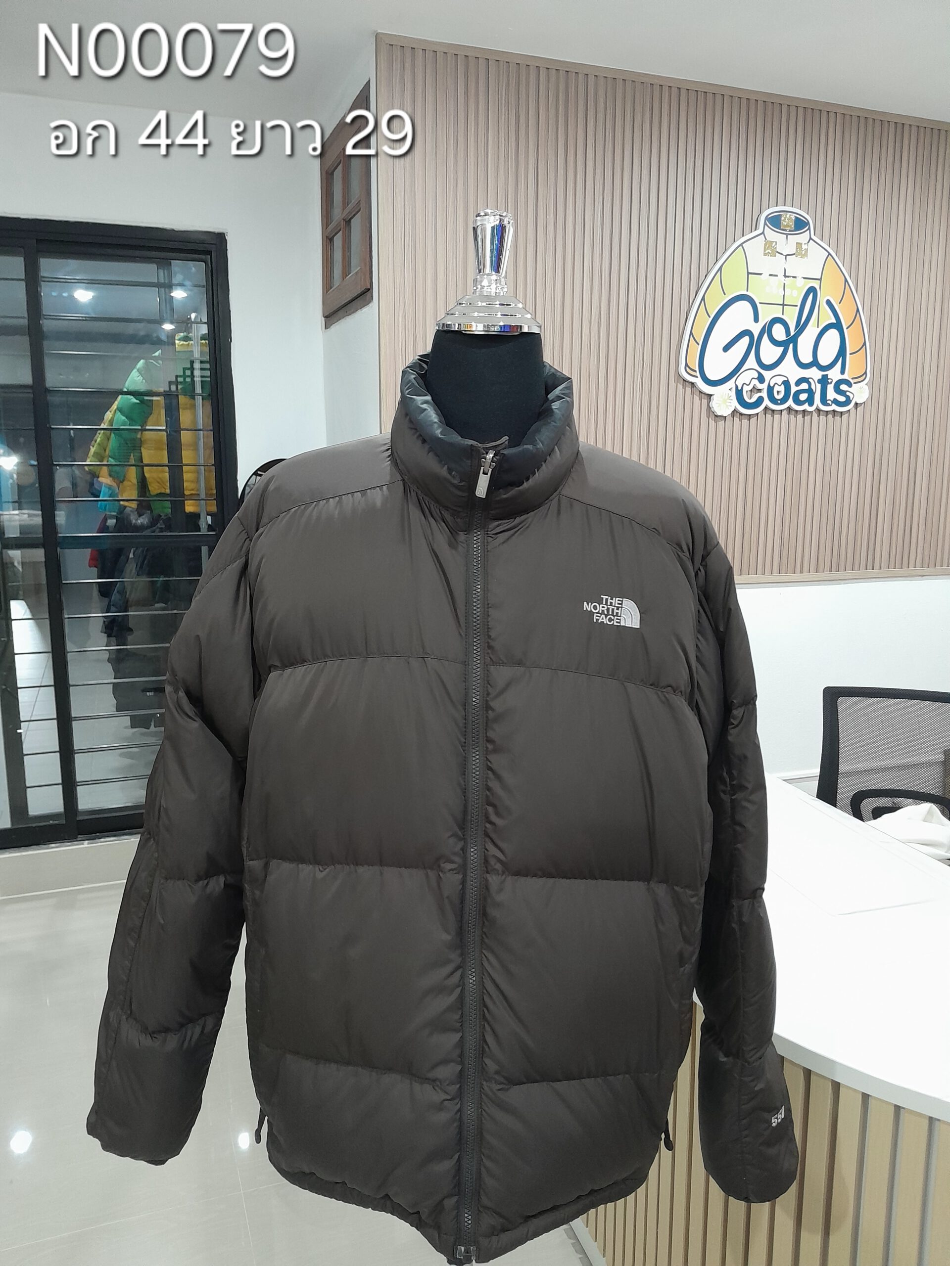 N00079 The North face