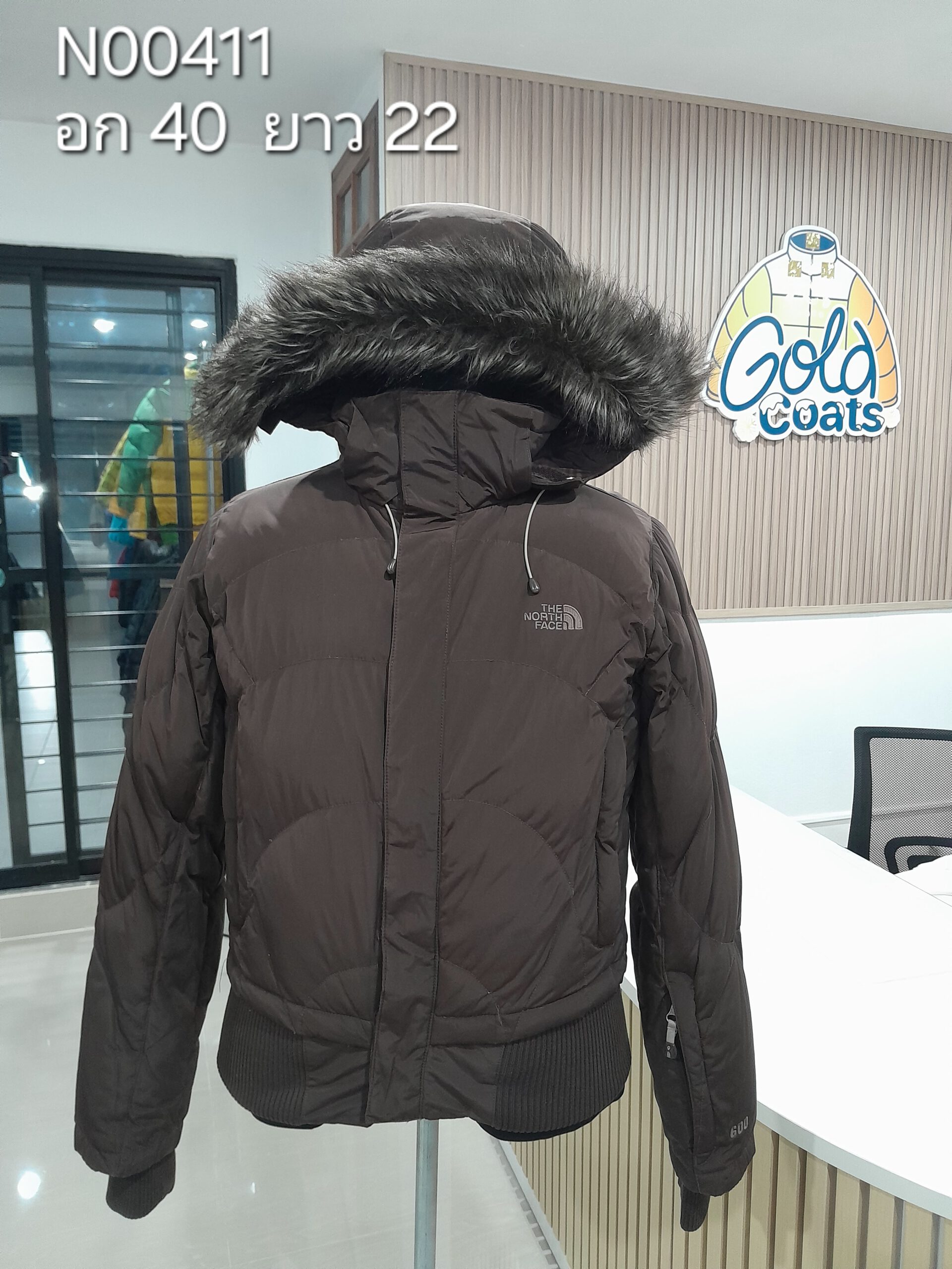 N00411 The North face