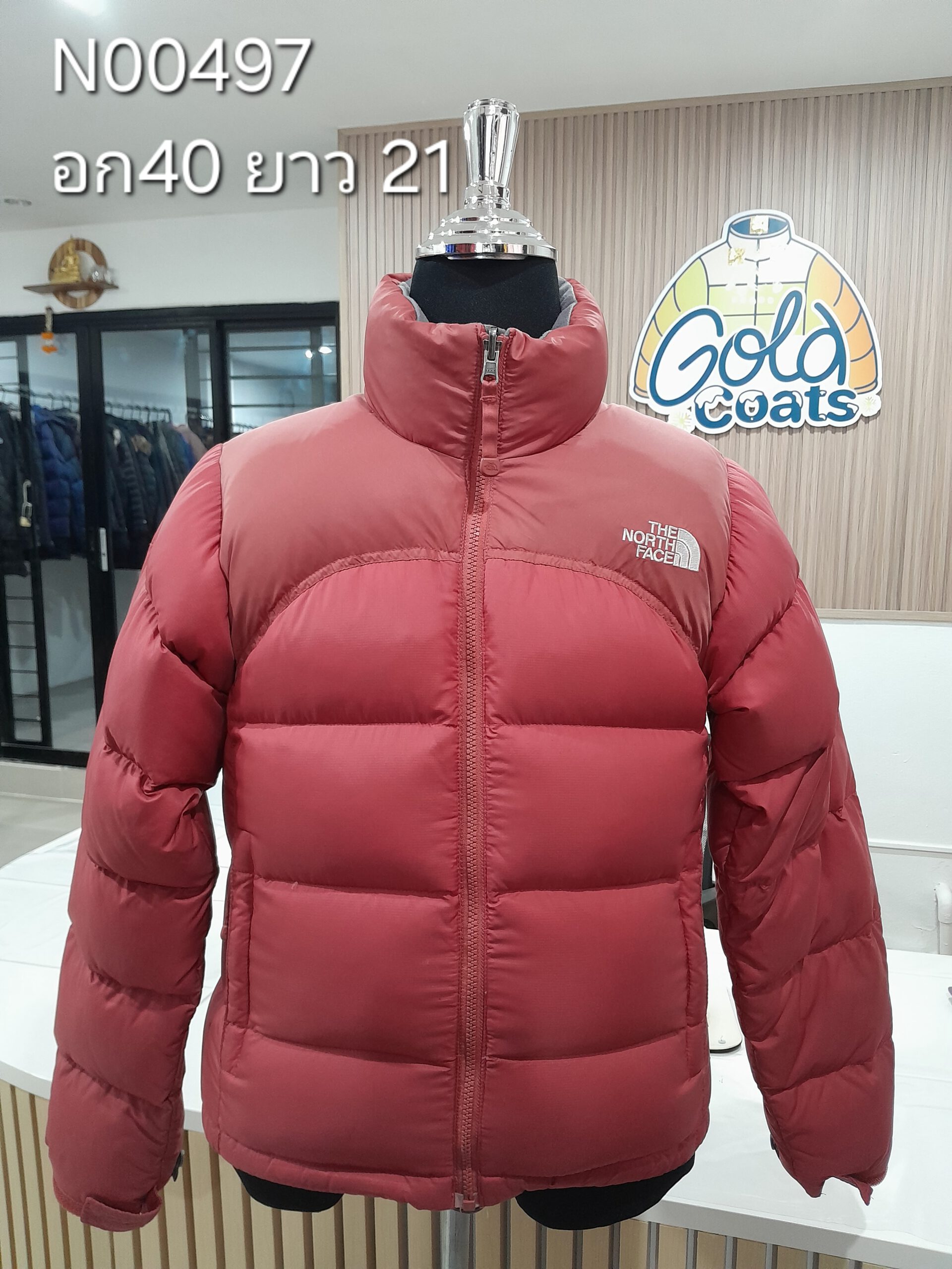 N00497 The North face