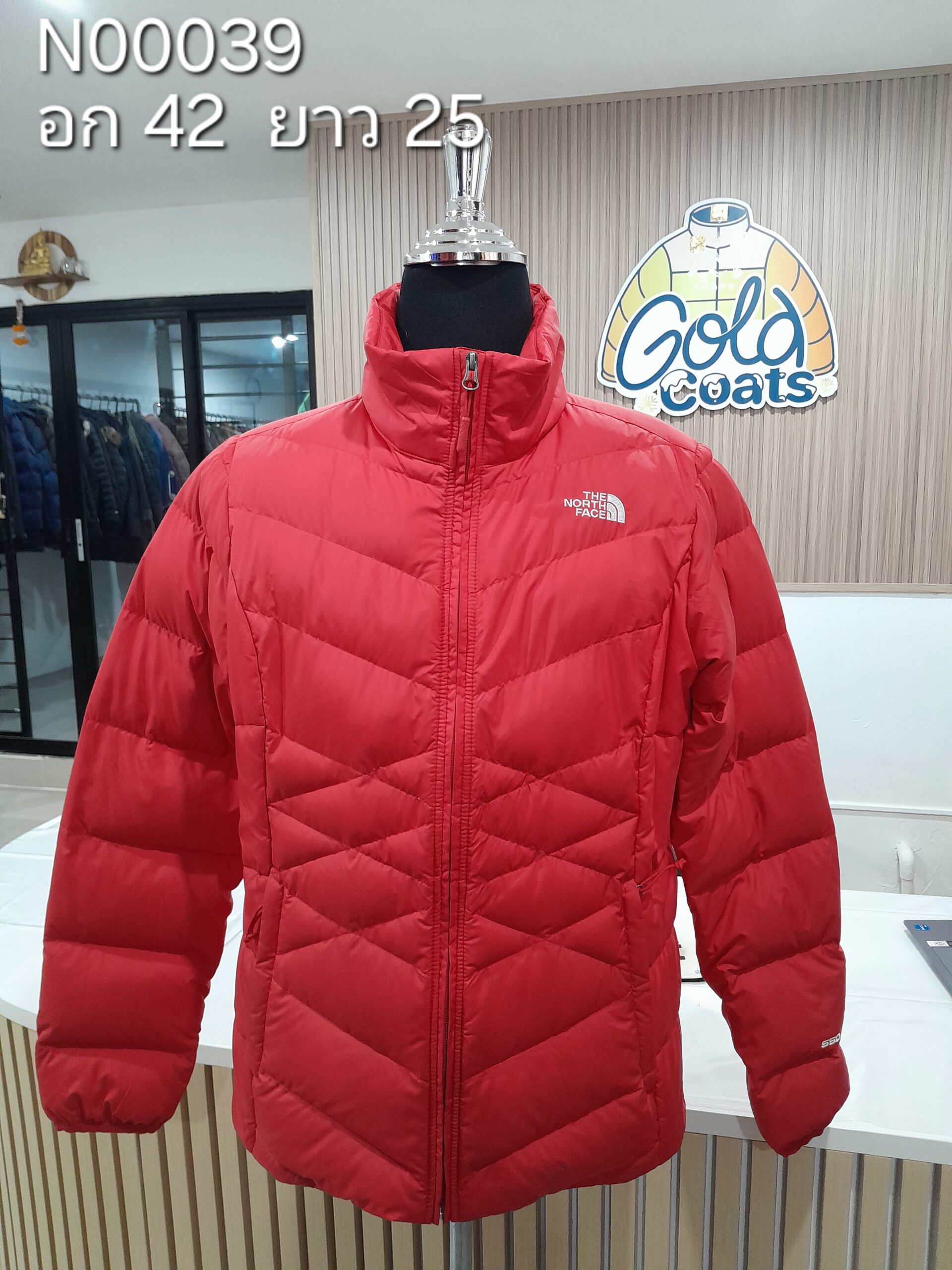 N00039 The North face