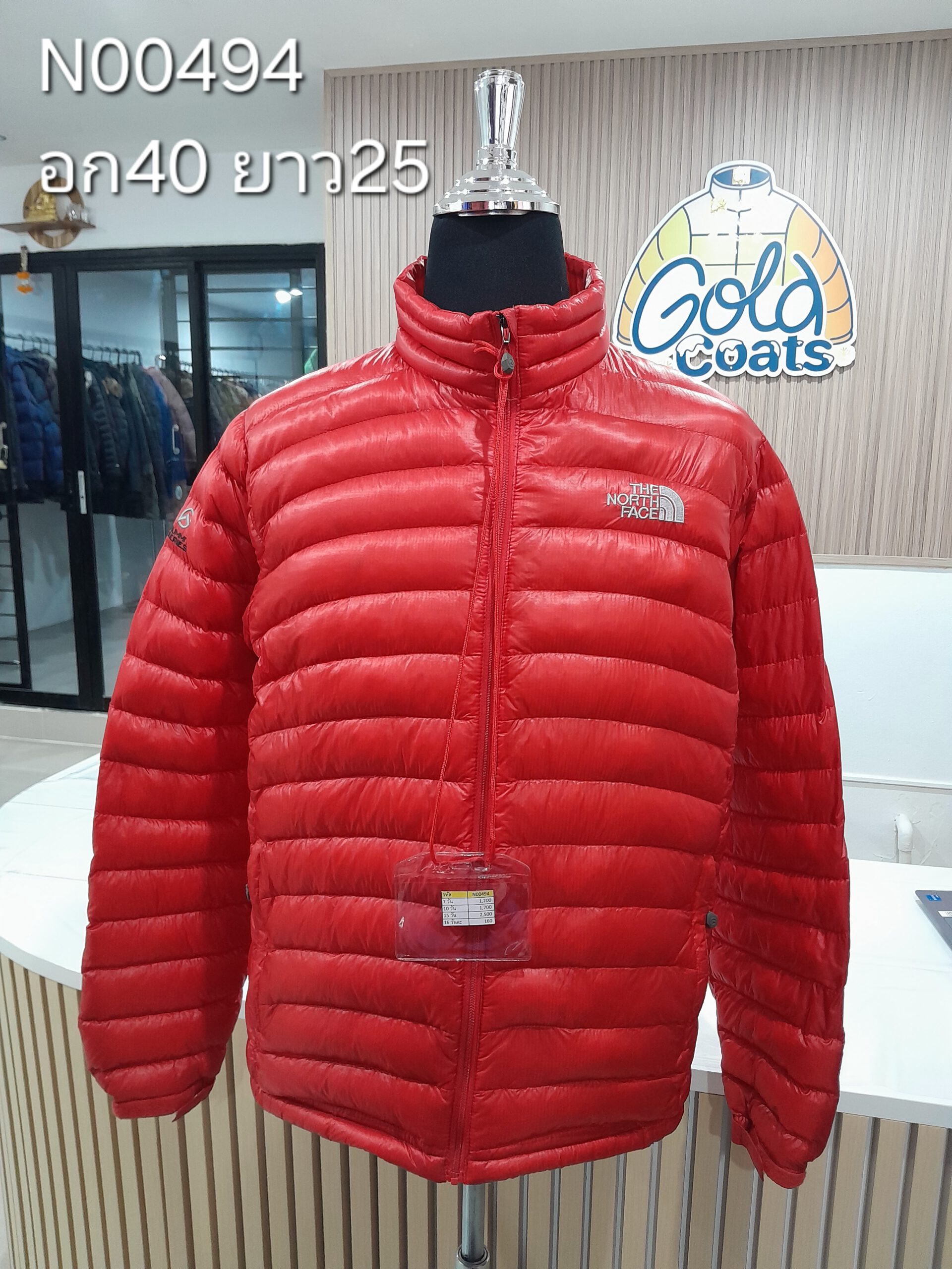 N00494 The North face