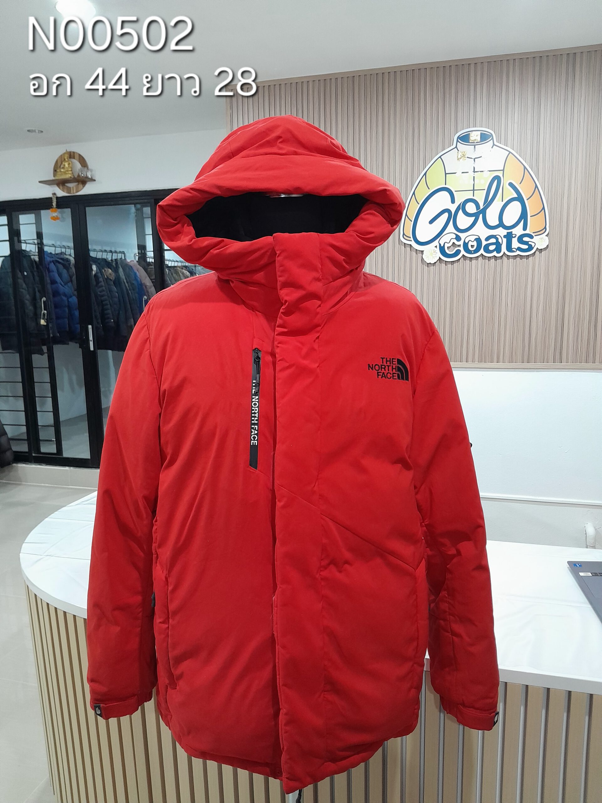 N00502 The North face