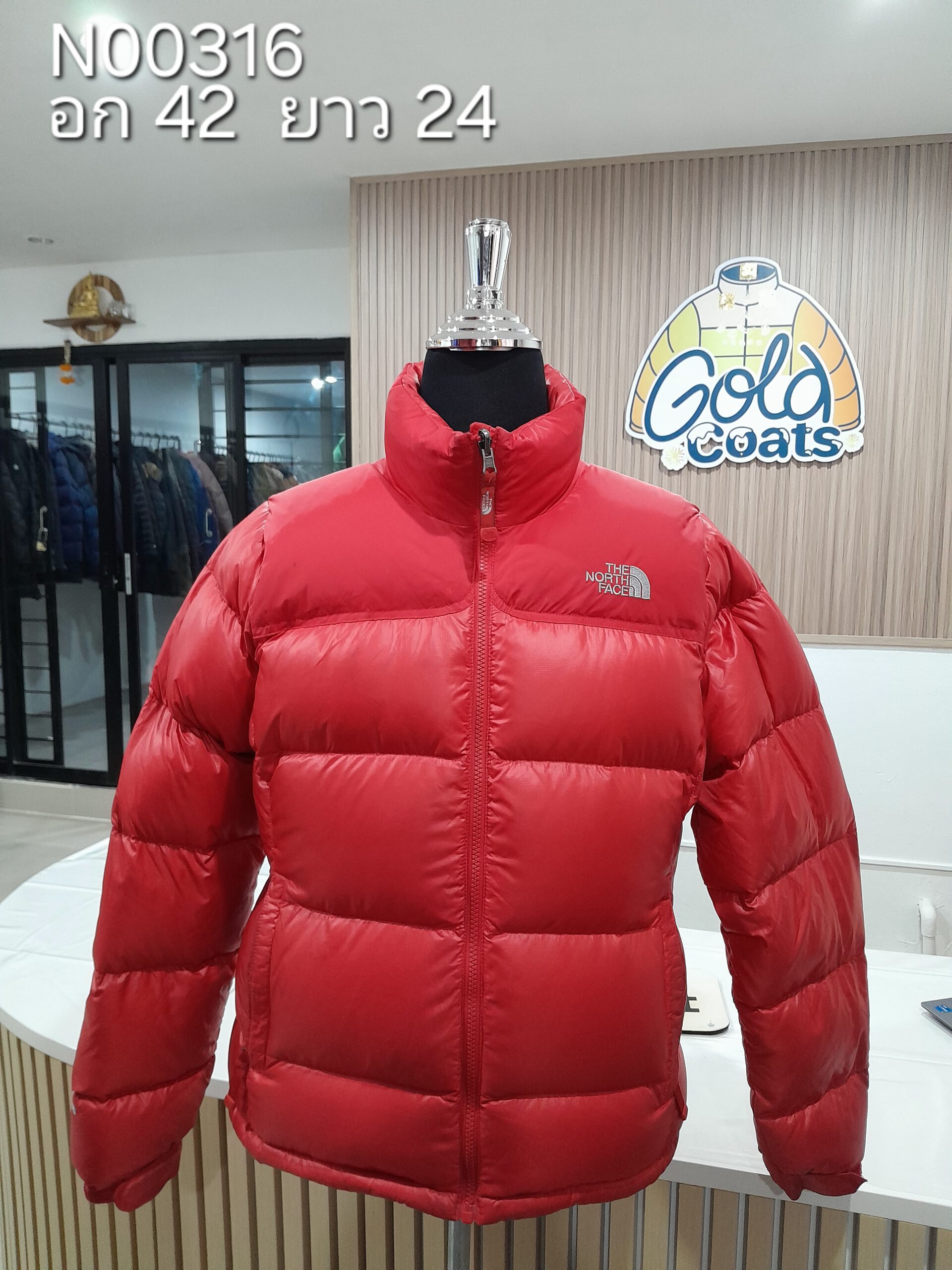 N00316 The North face