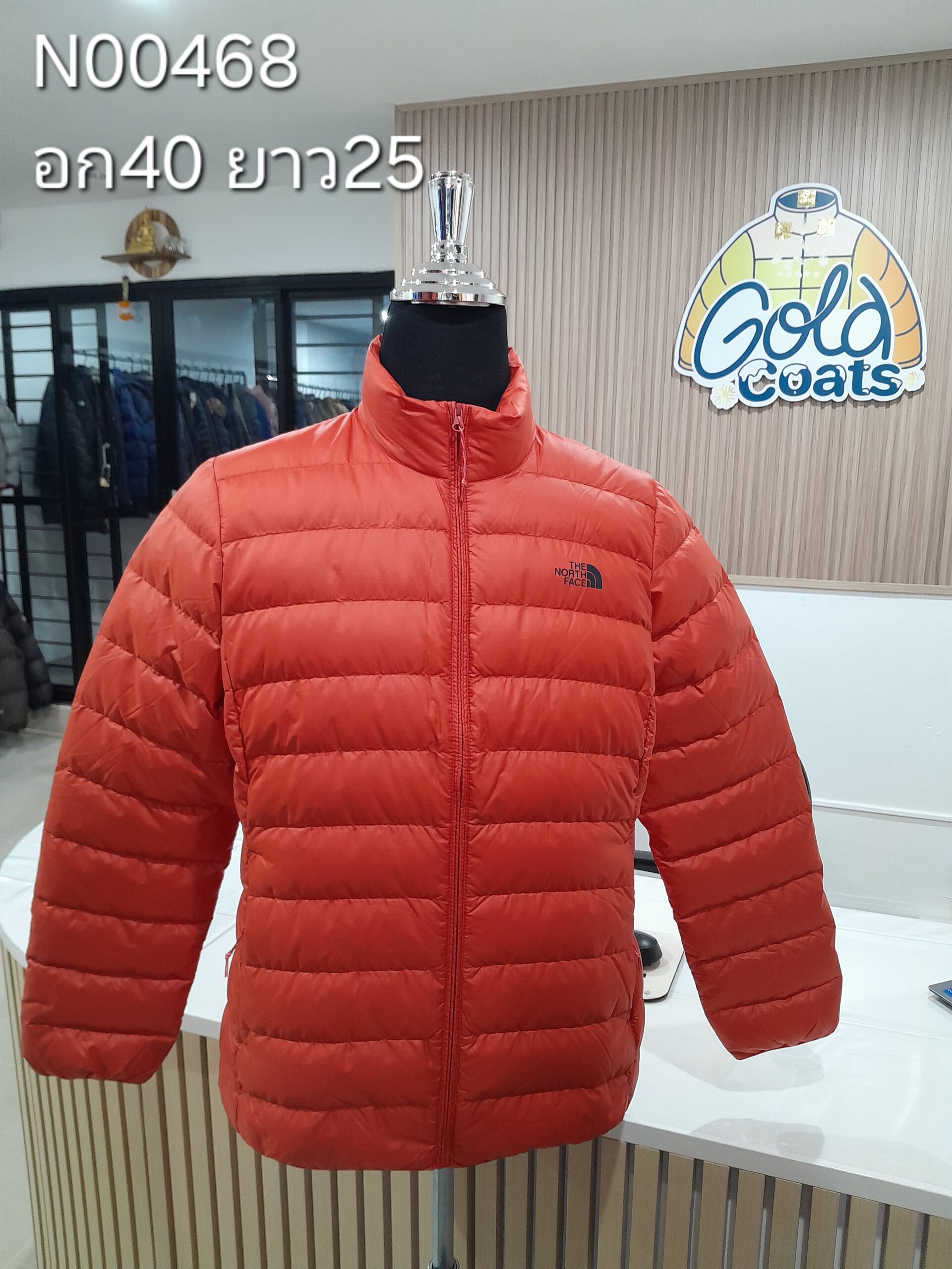 N00468 The North face