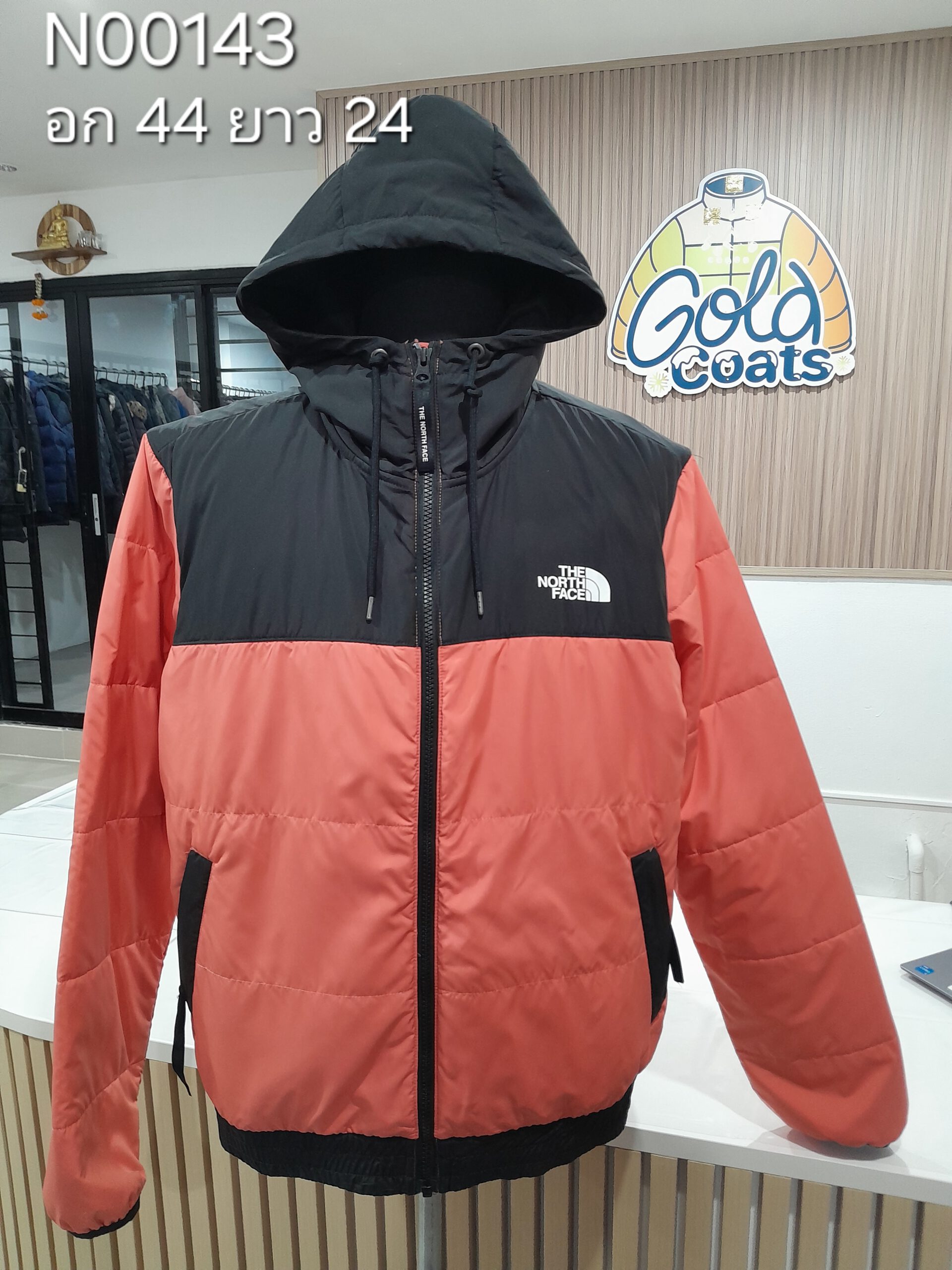 N00143 The North face