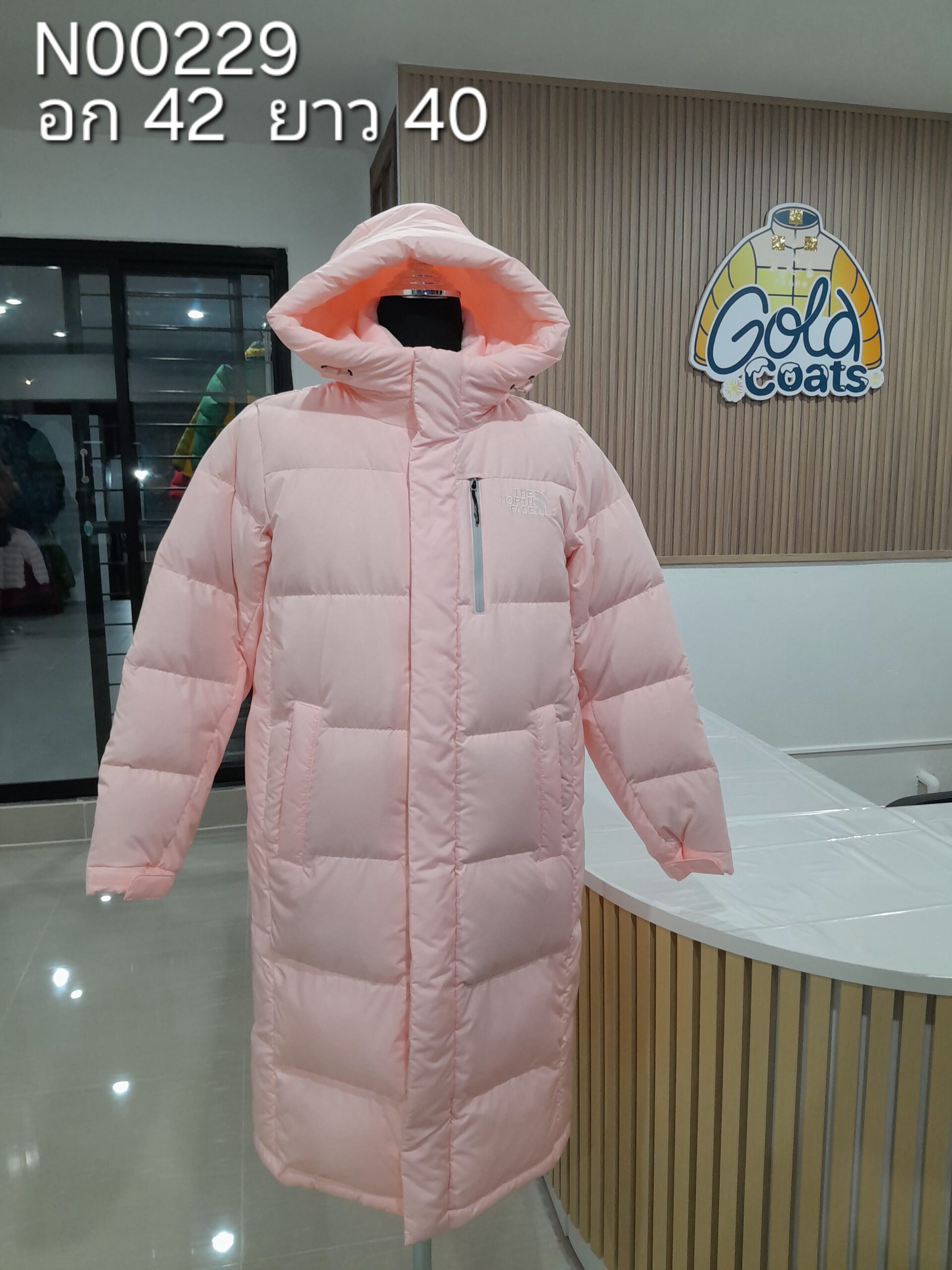 N00229 The North face