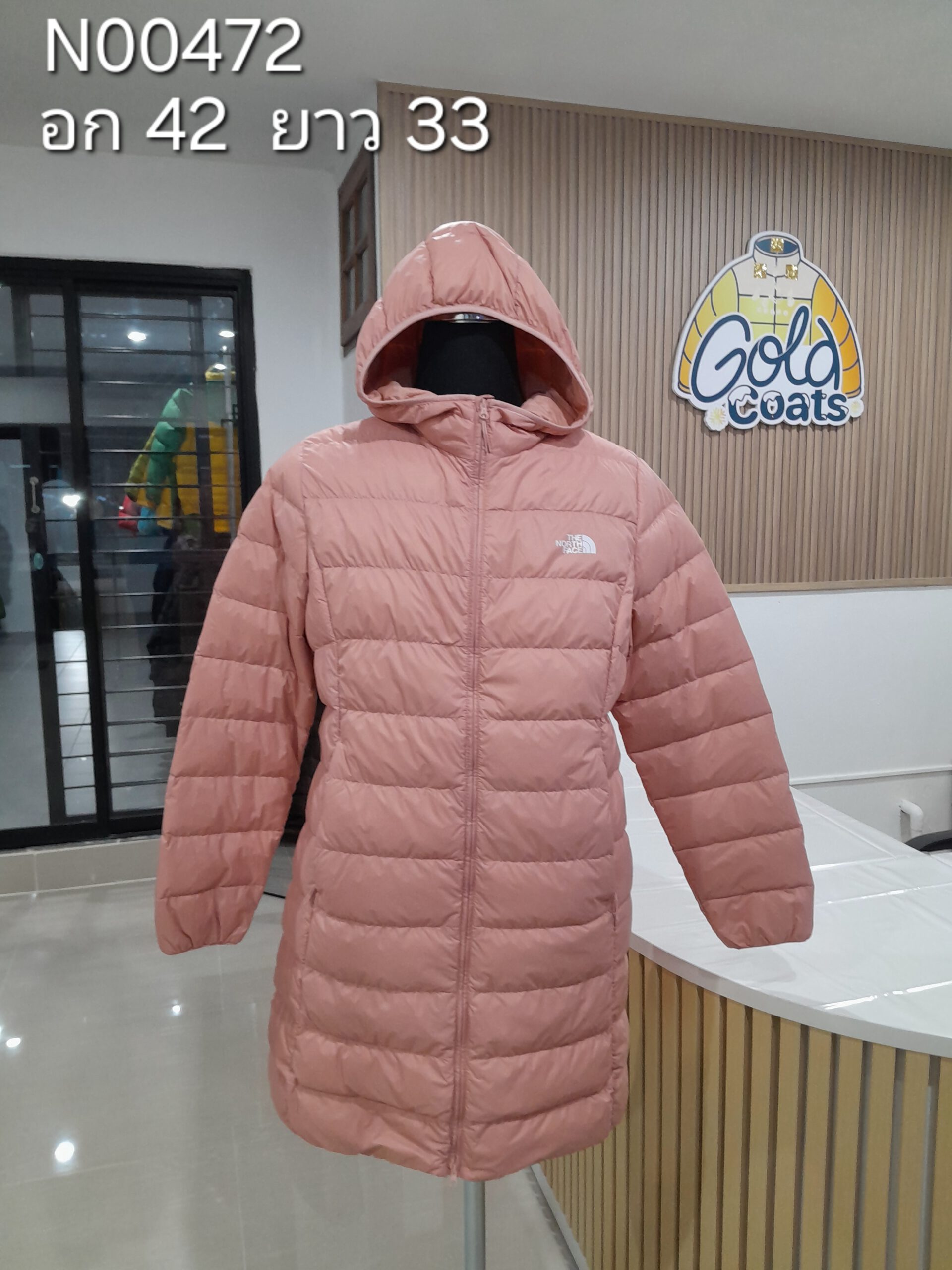 N00472 The North face