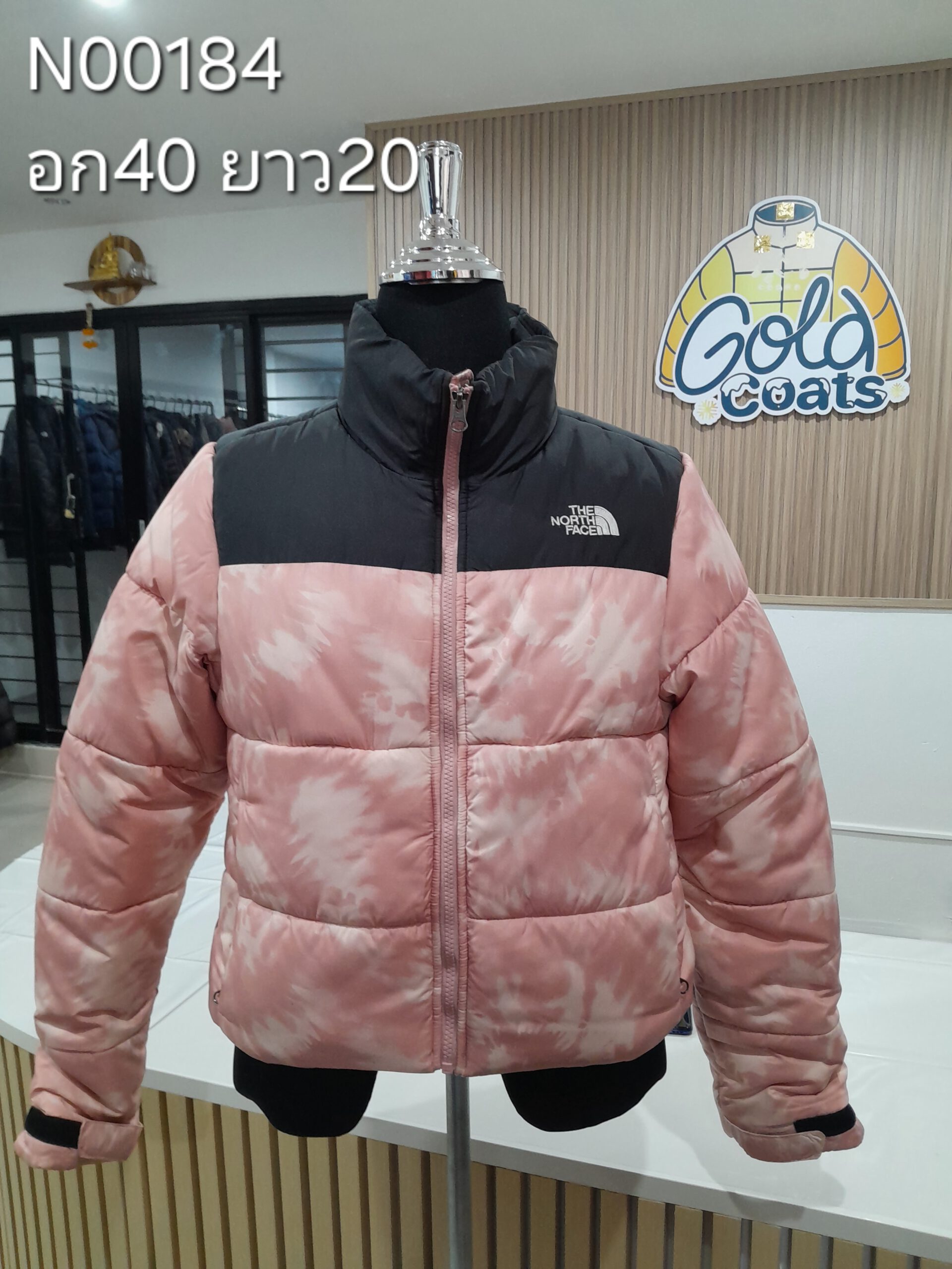 N00184 The North face