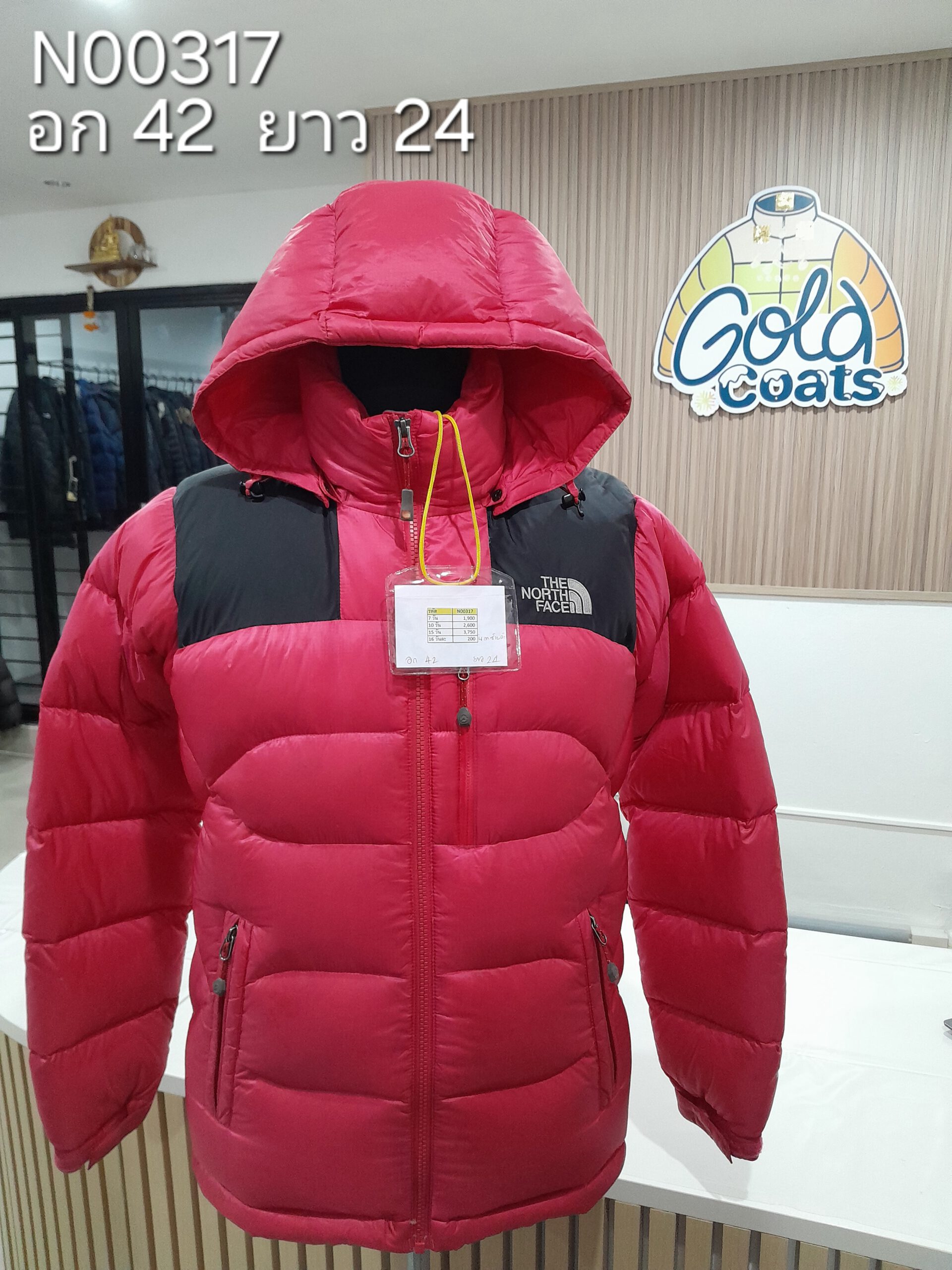 N00317 The North face