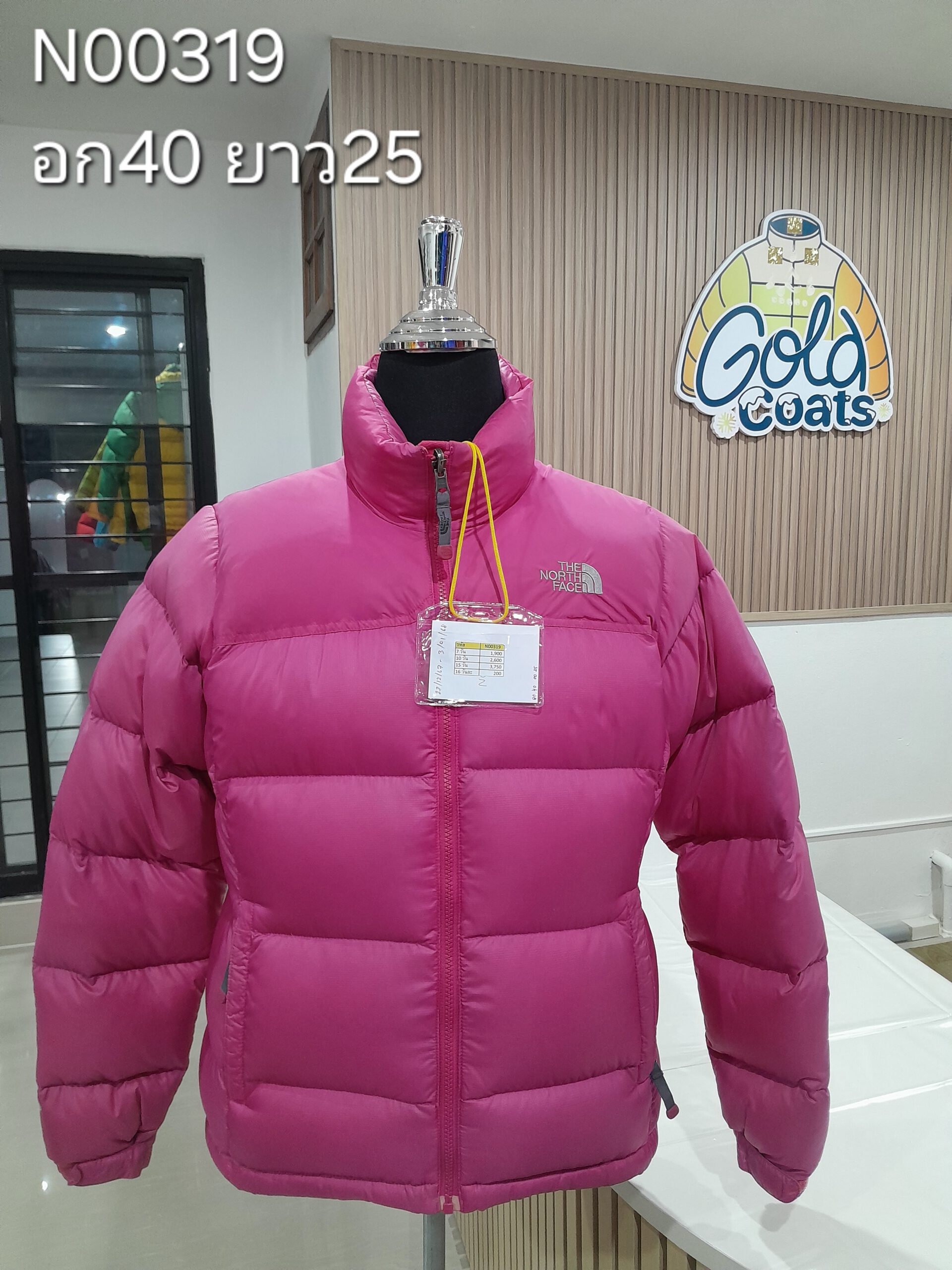 N00319 The North face