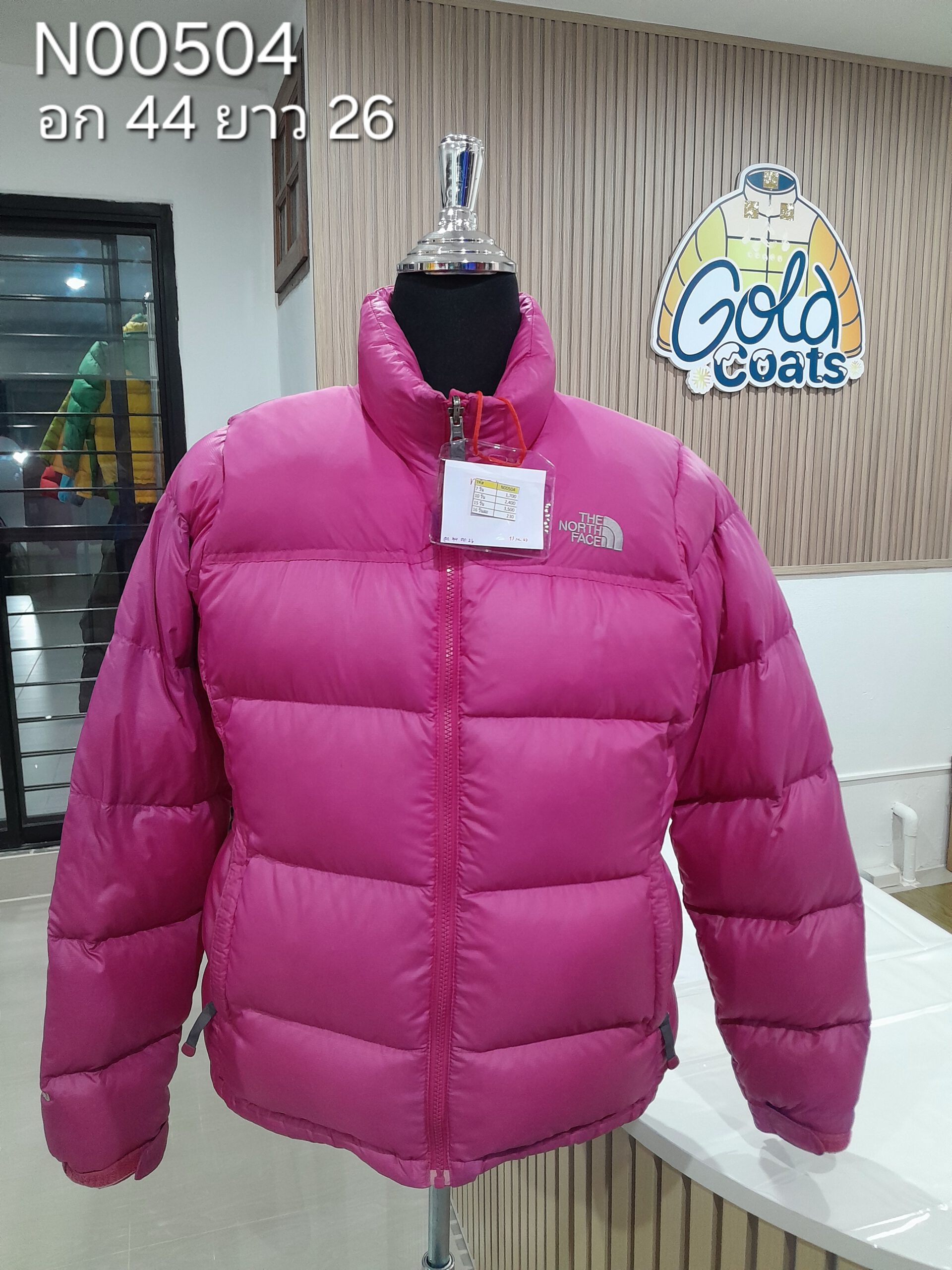 N00504 The North face