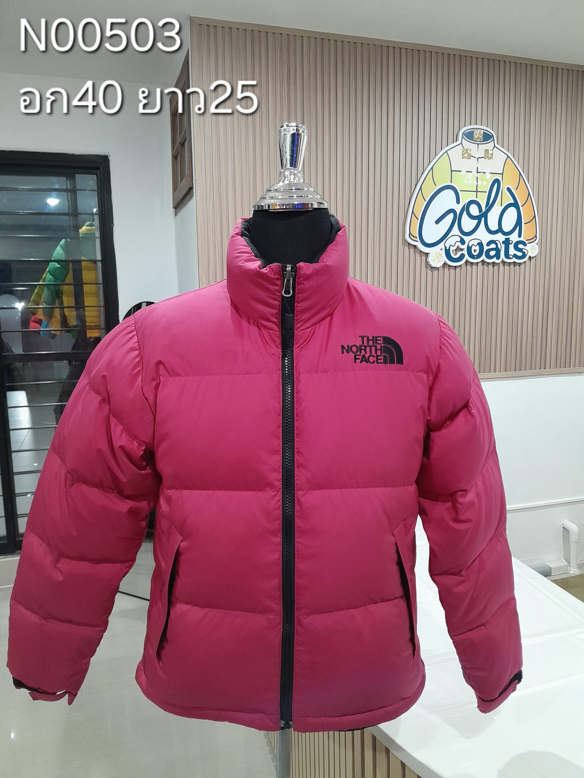 N00503 The North face