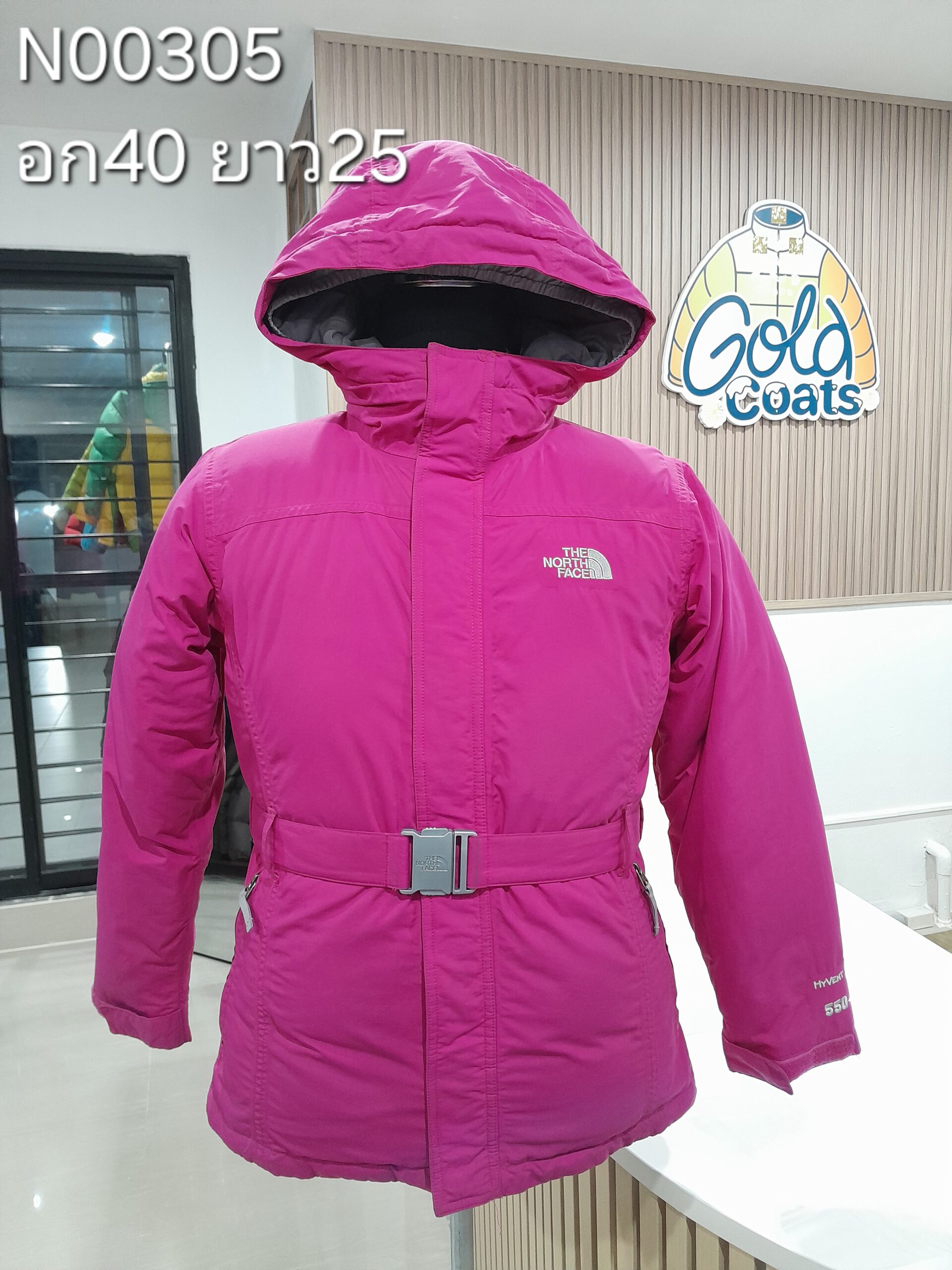 N00305 The North face