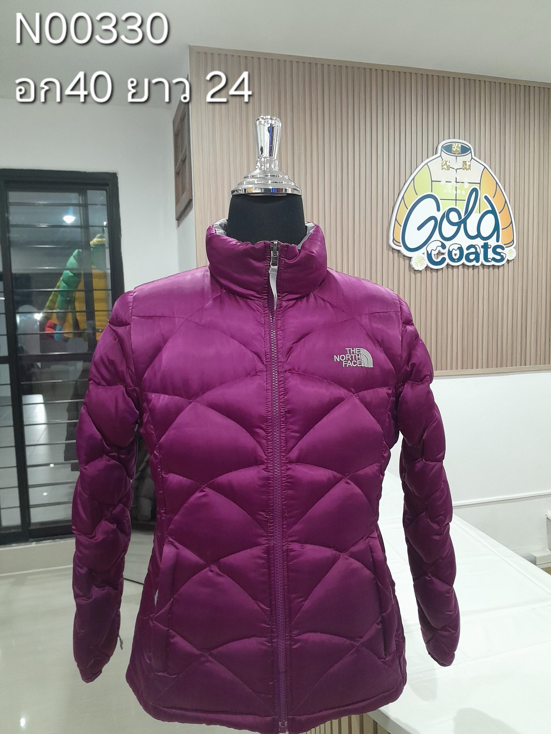 N00330 The North face