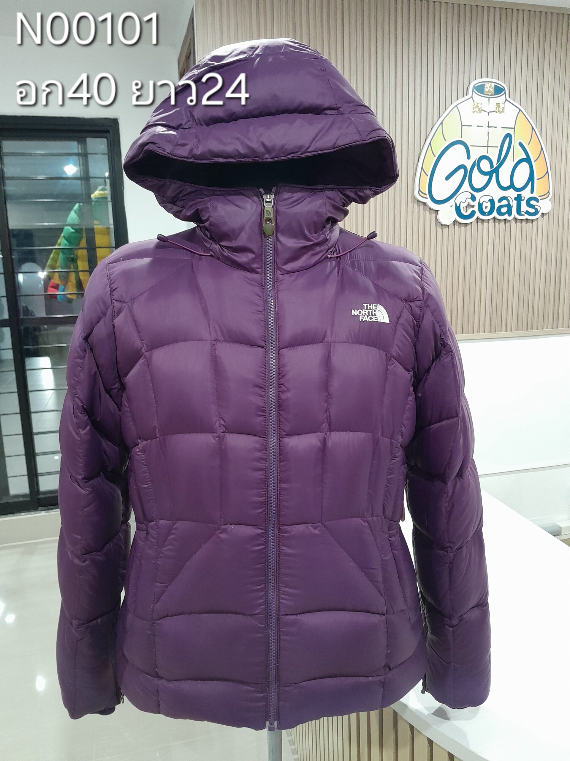 N00101 The North face