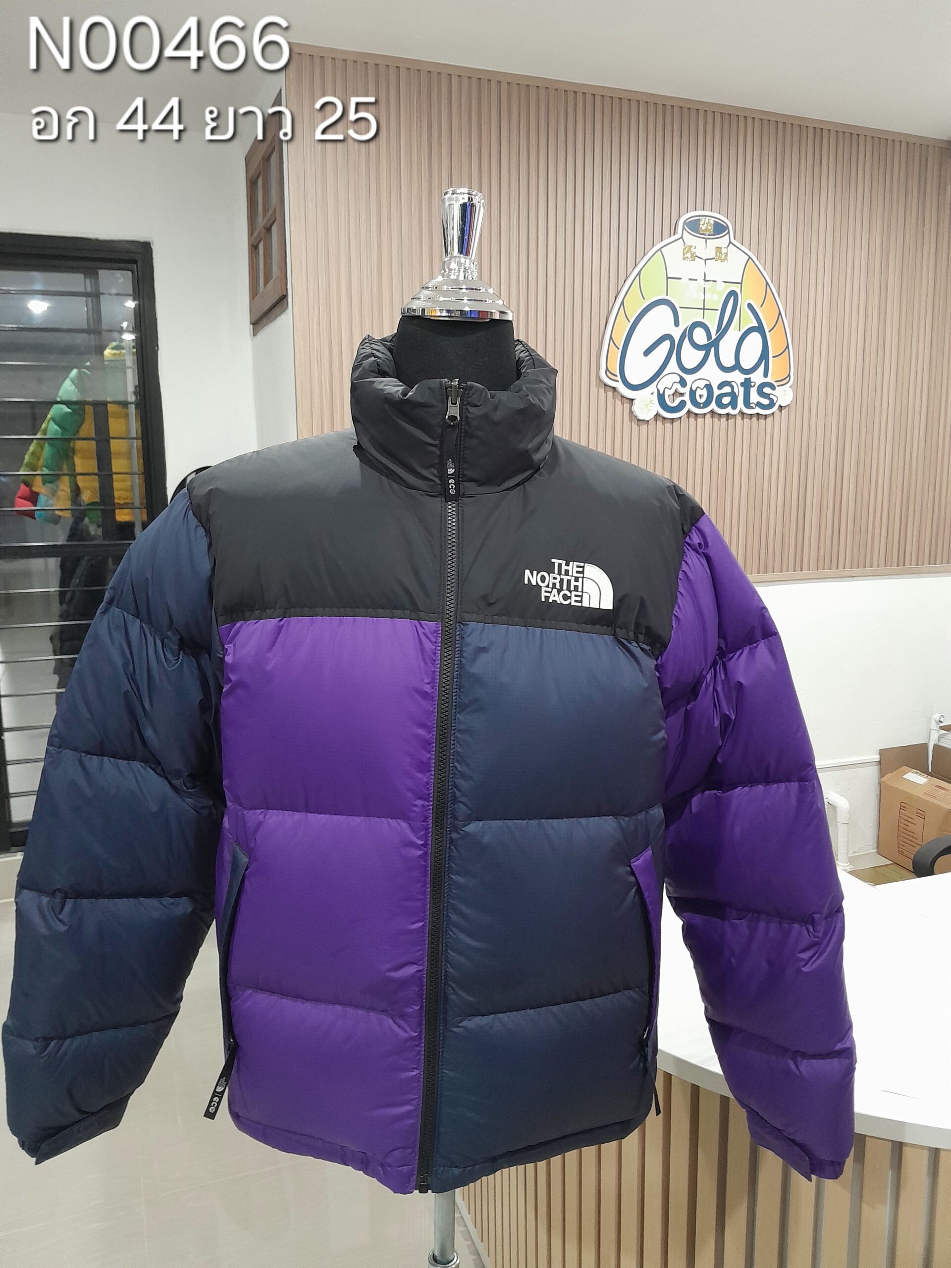 N00466 The North face