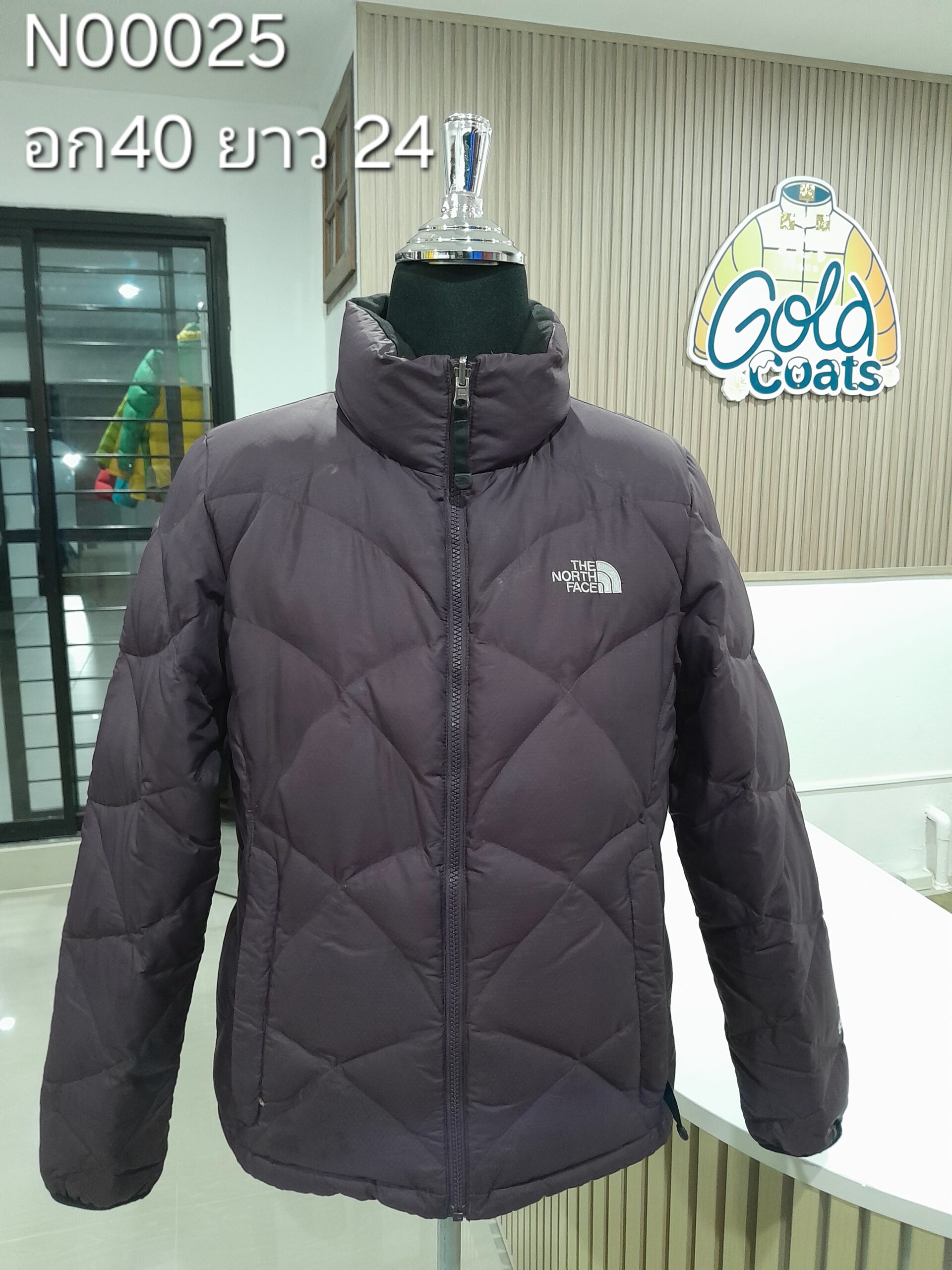 N00025 The North face