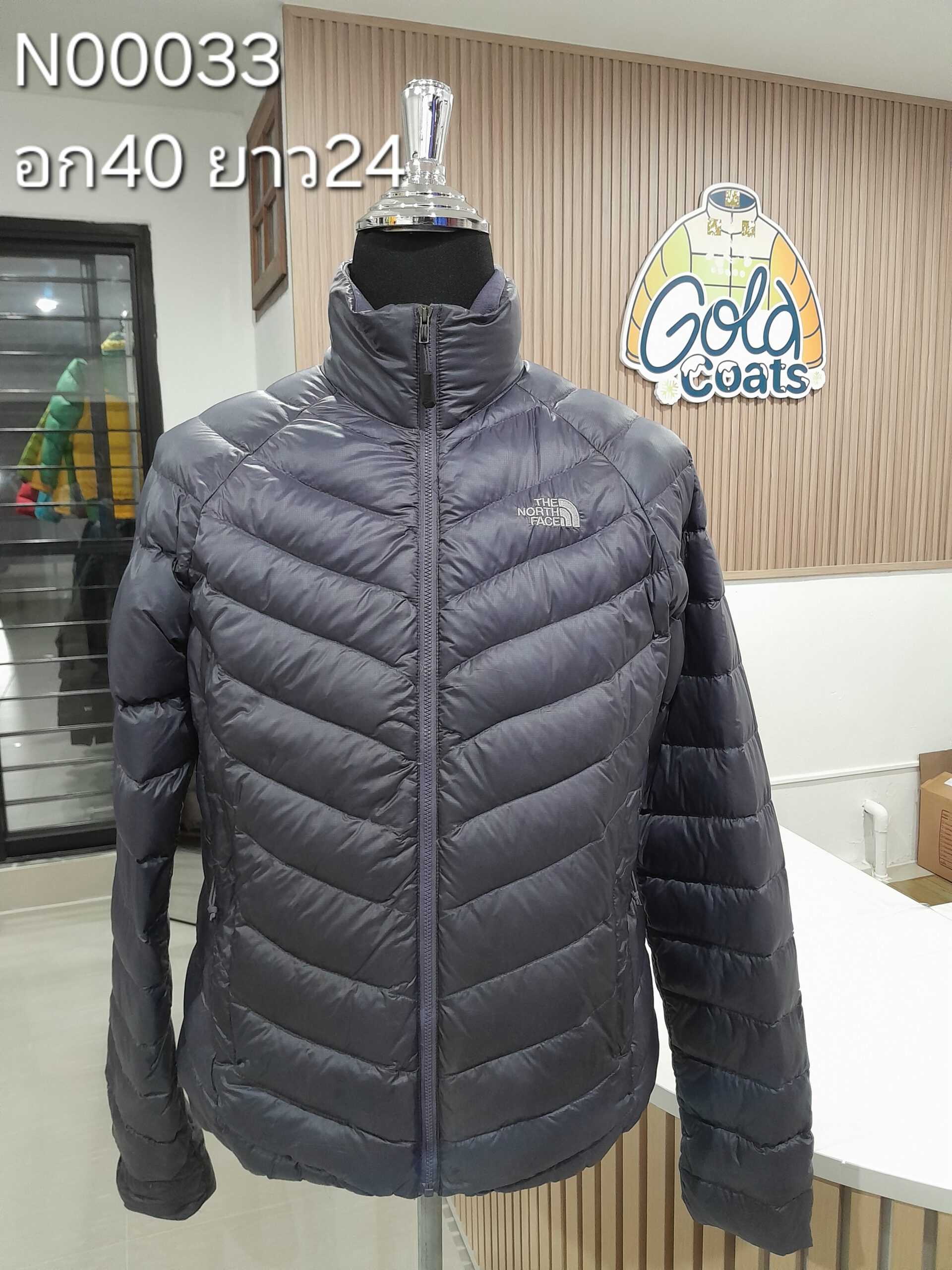 N00033 The North face