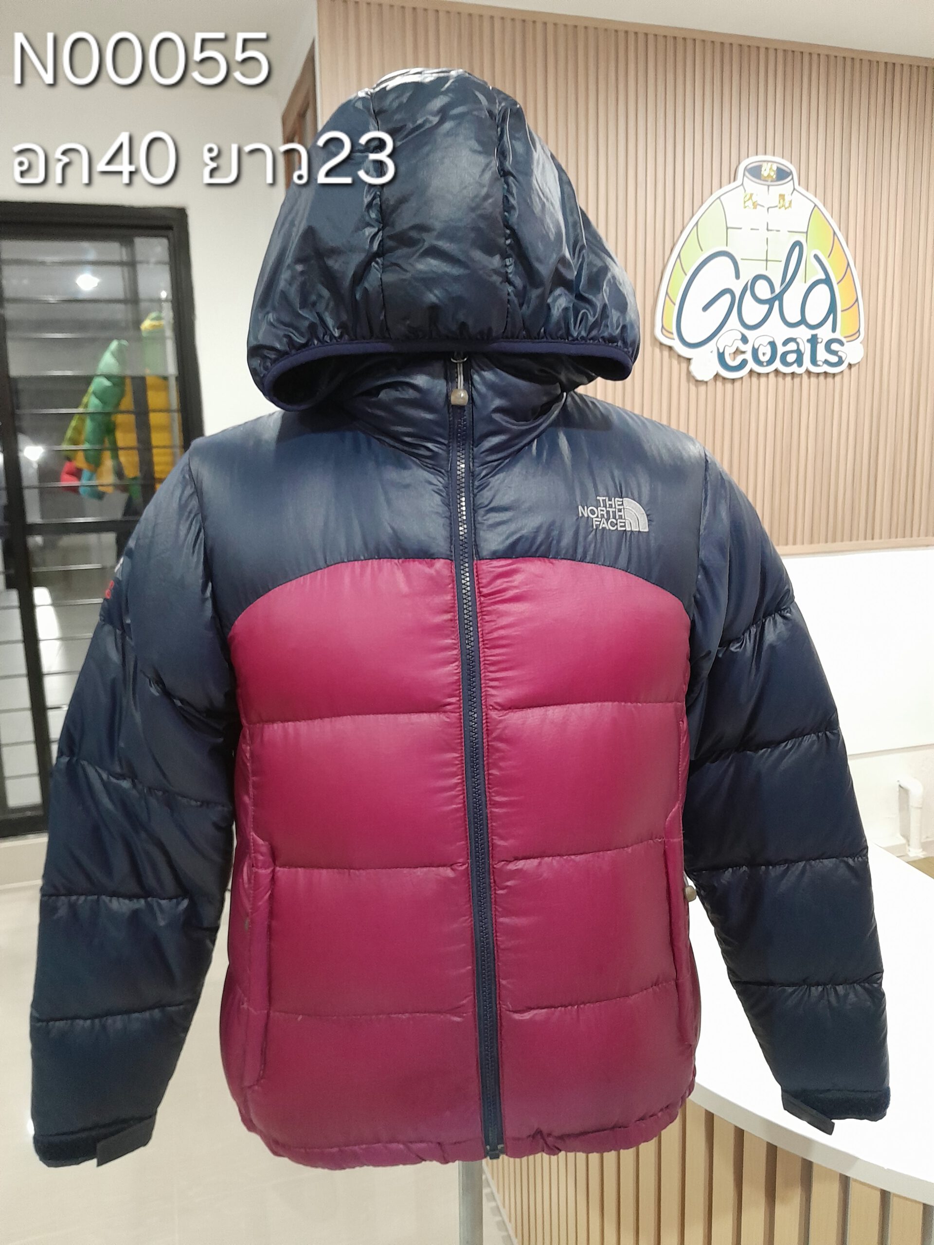 N00055 The North face