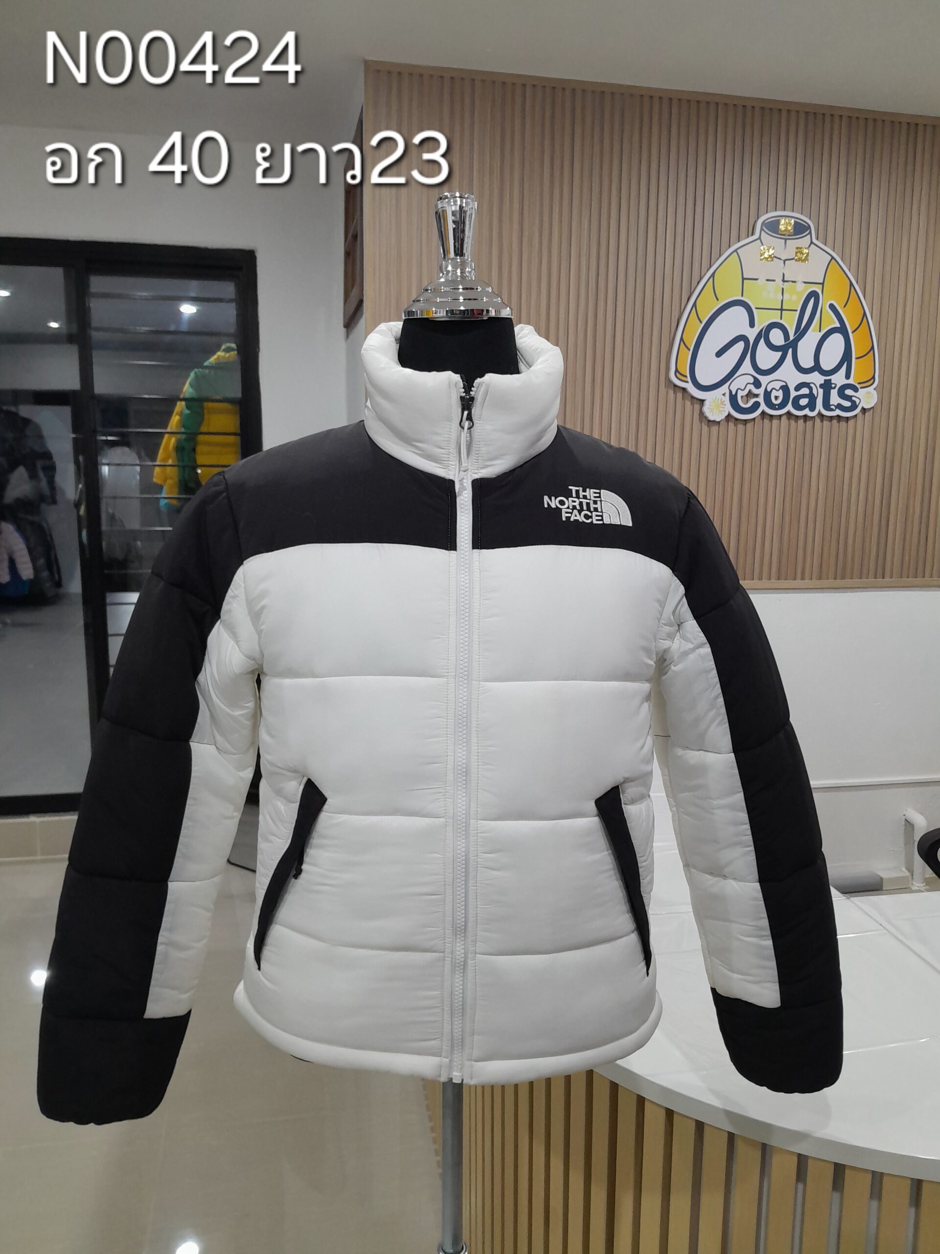 N00424 The North face