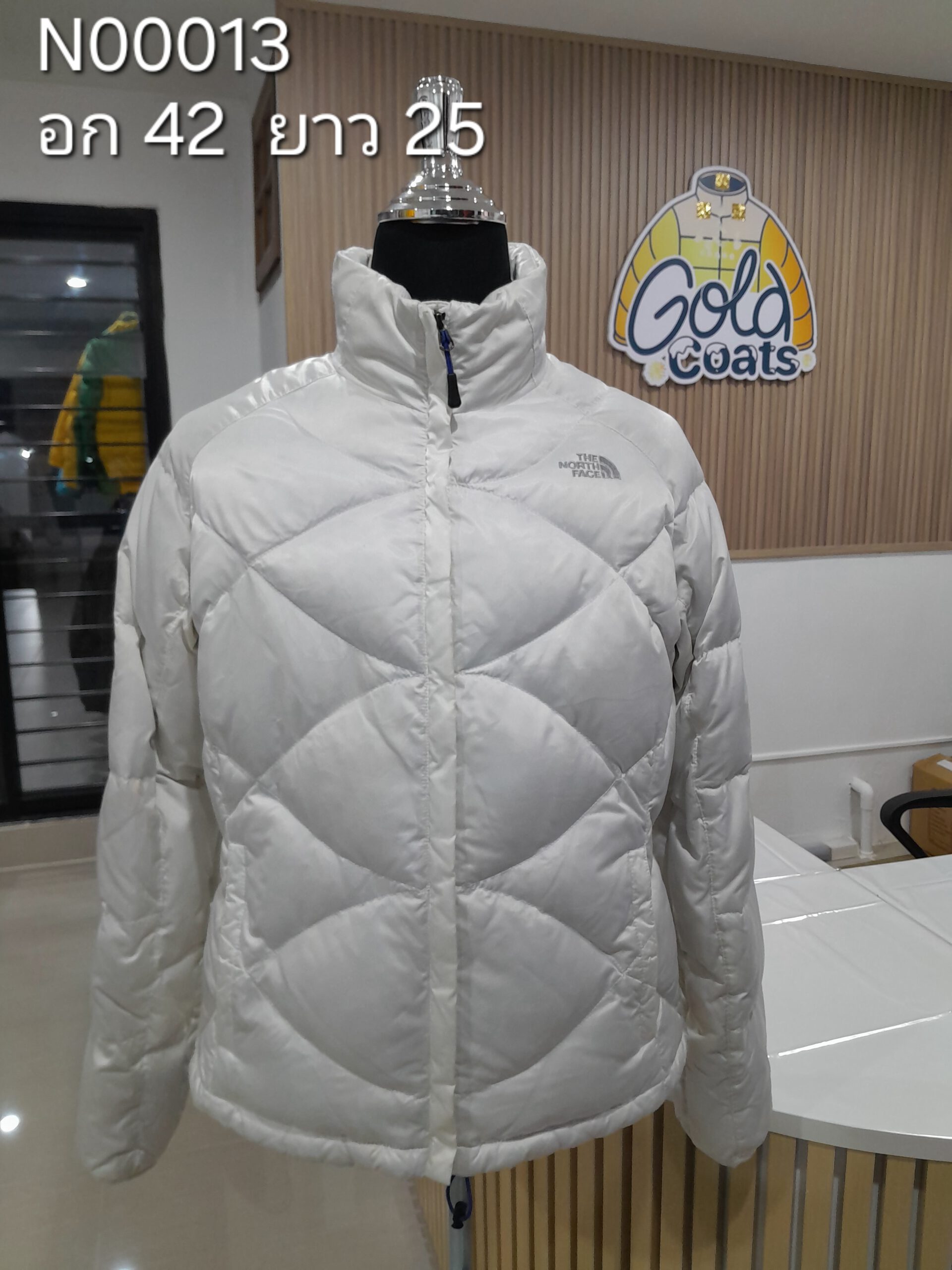 N00013 The North face