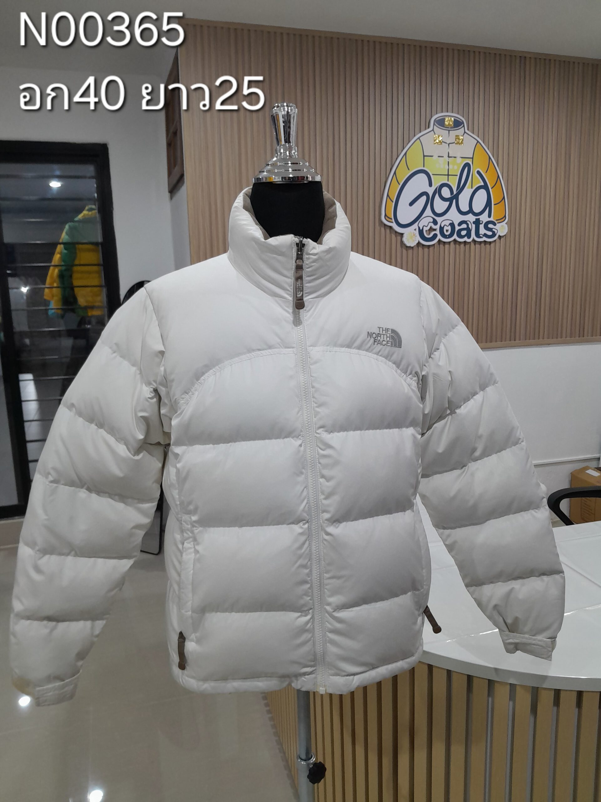 N00365 The North face