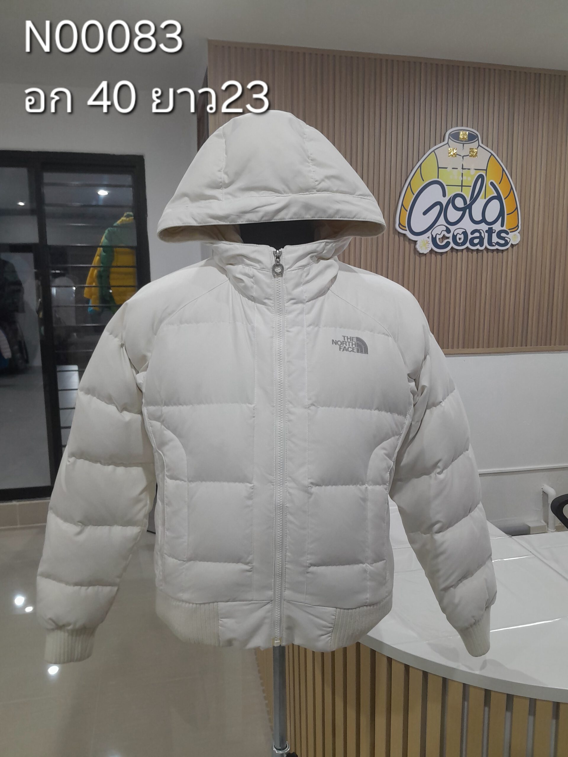 N00083 The North face